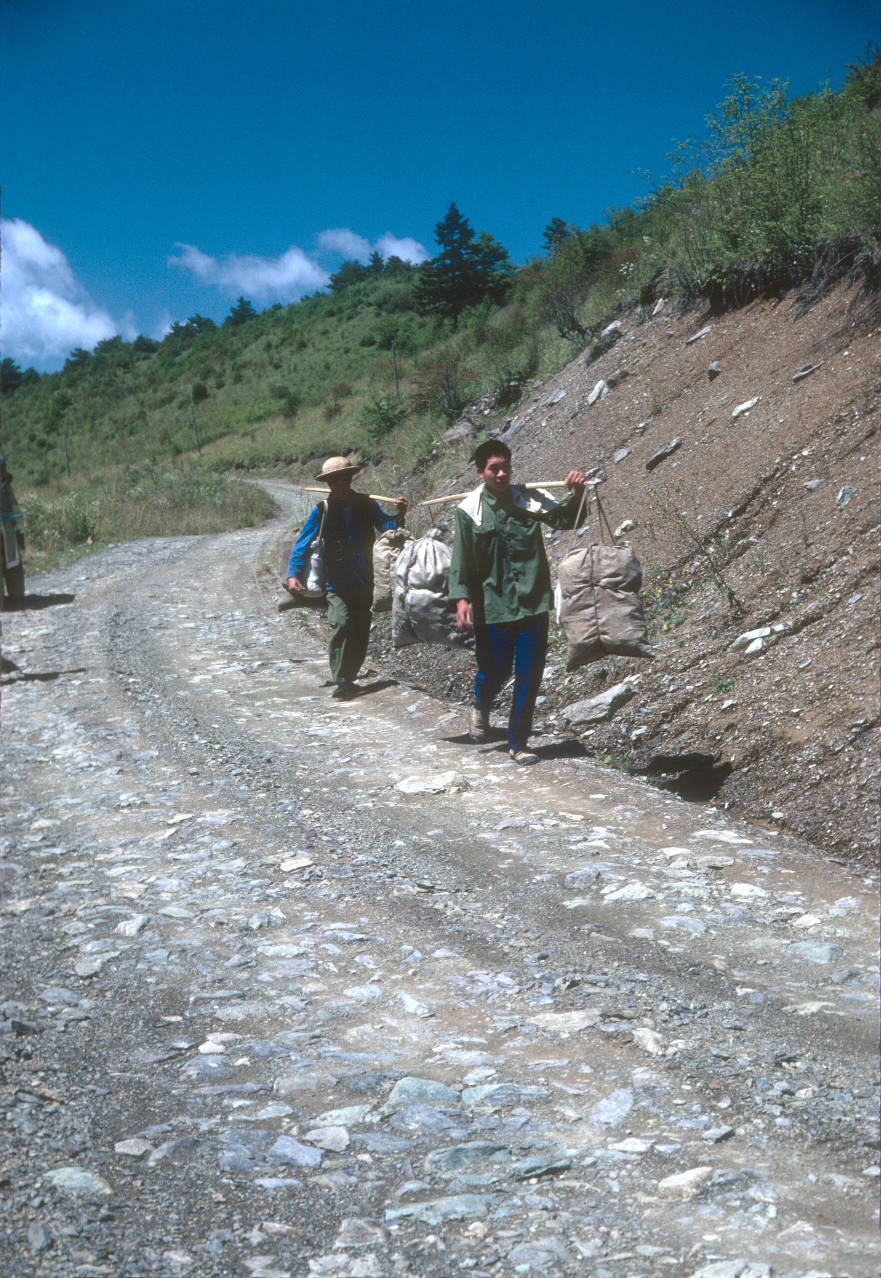 Team members carrying loads of collections on poles on a hill at Xiaoshennongjia.