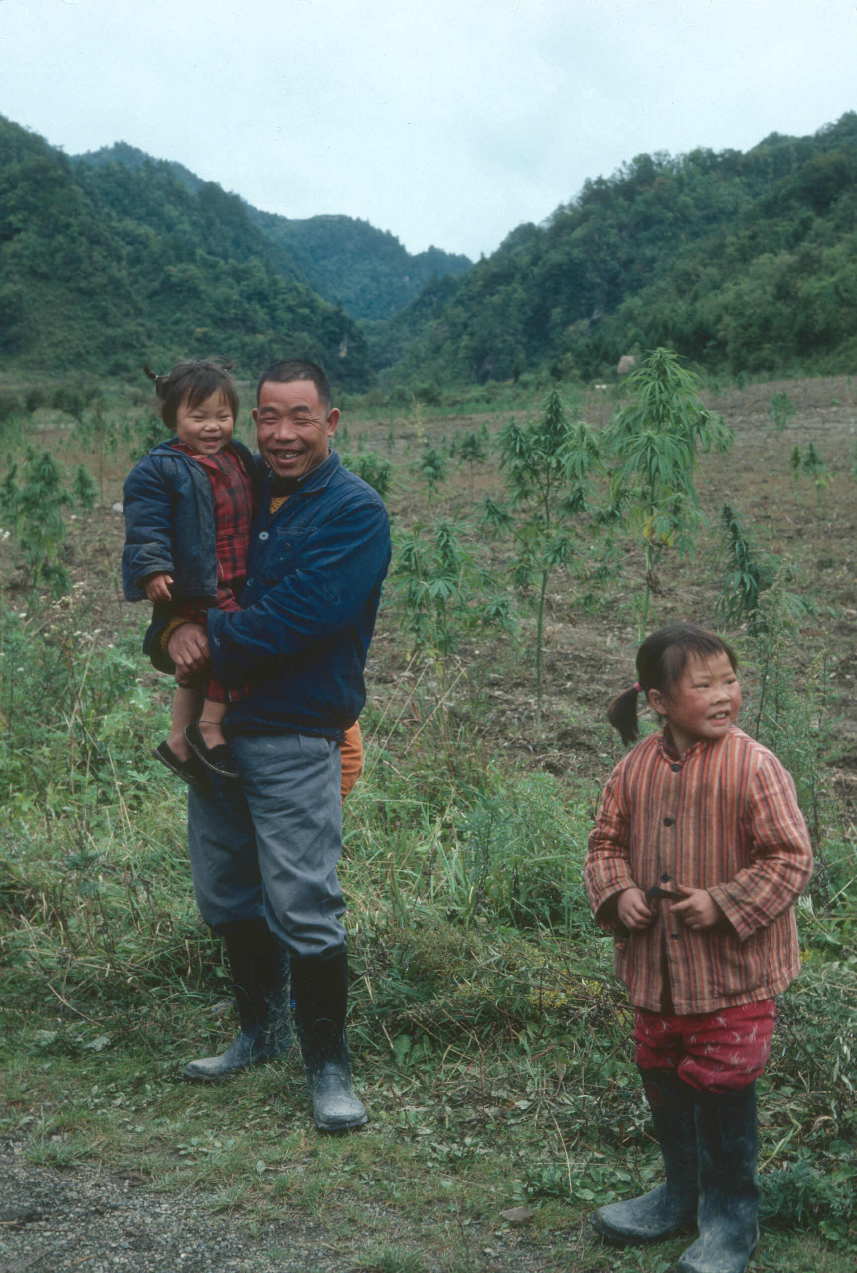 A man and two children standing beside a field in which potatoes and hemp are being grown near Guijuyuan, Shennongjia.