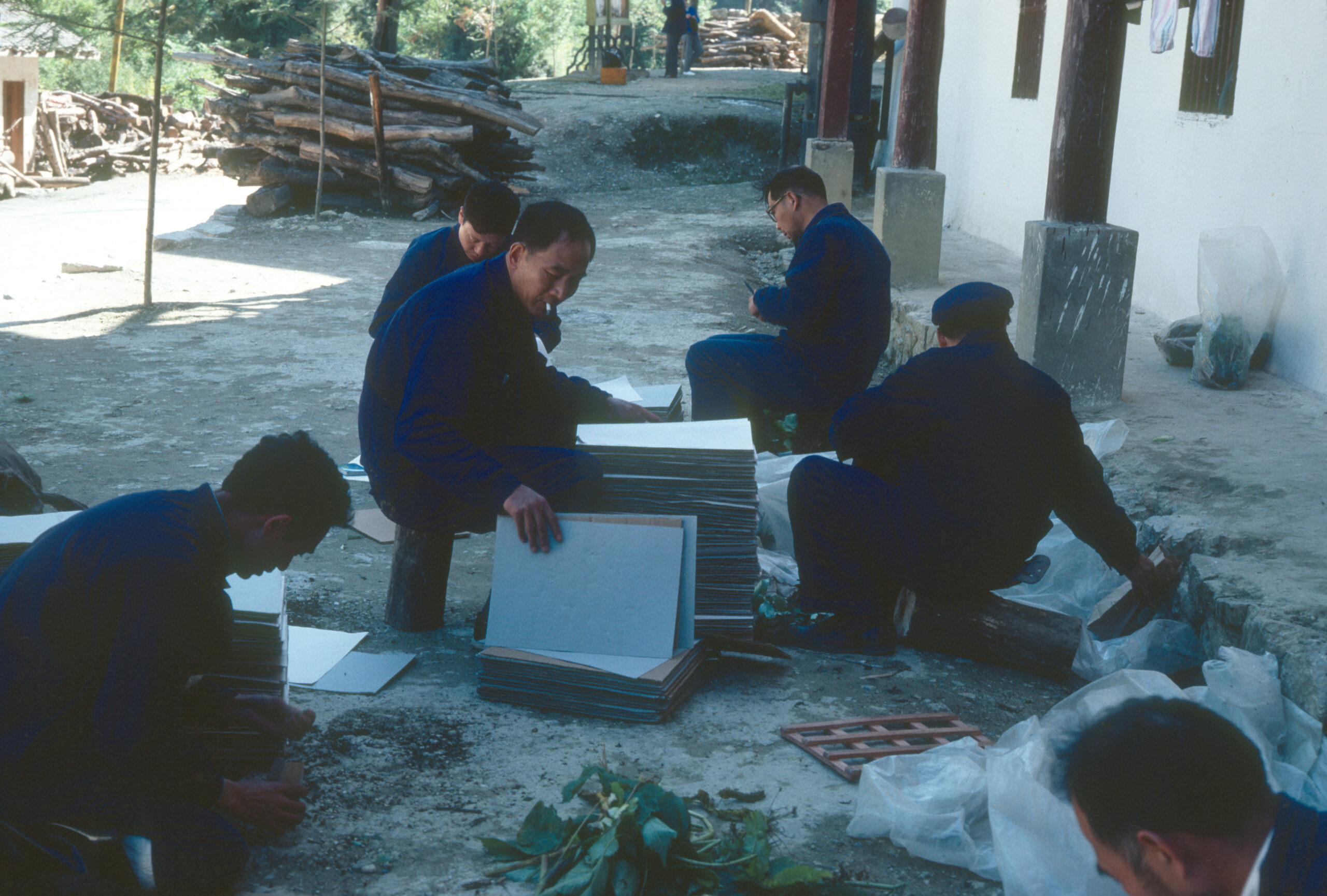 Team members pressing plants at the base camp in Shennongjia.