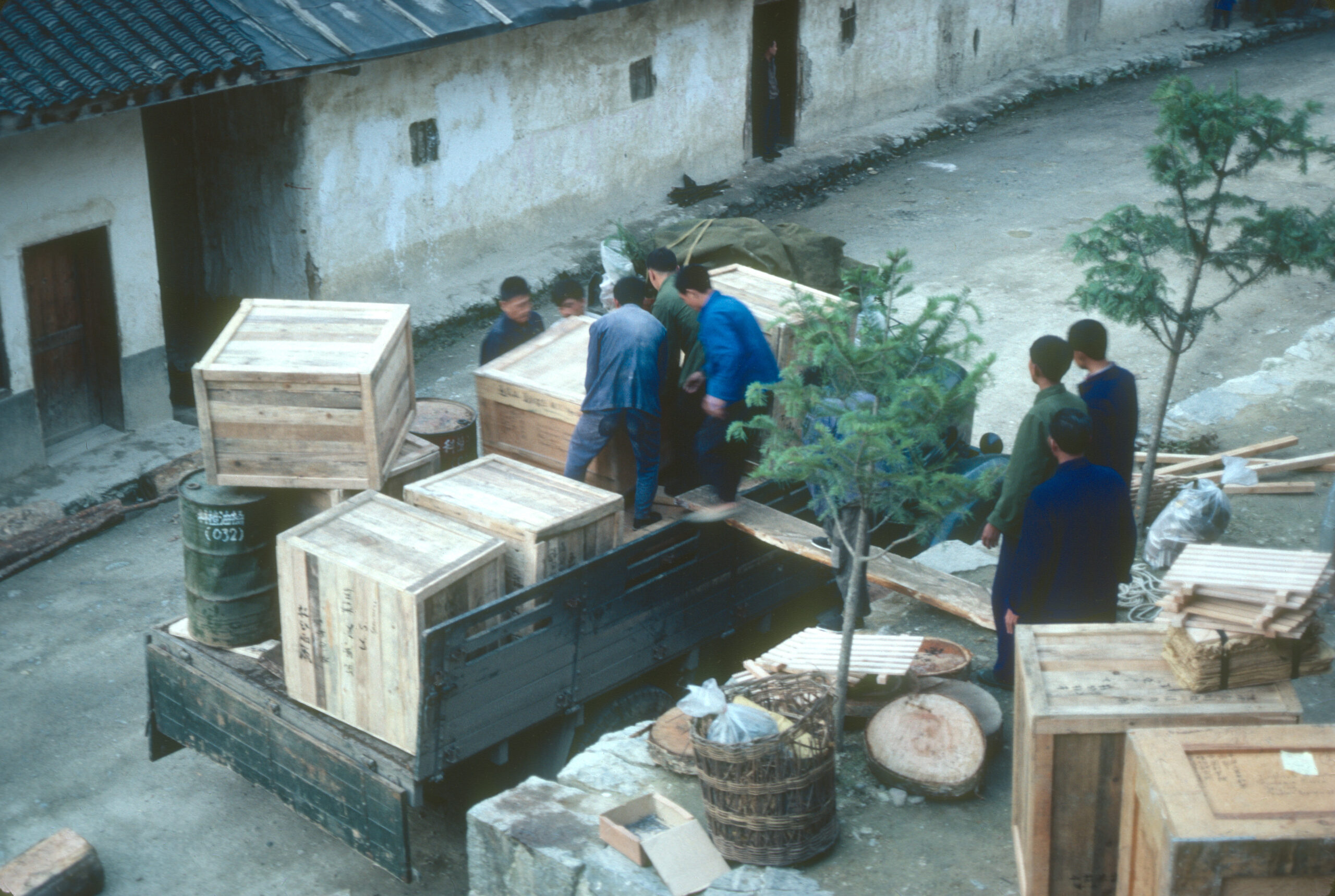 Loading crates with specimens on to the truck that would take them to Wuhan. Jiuhuping, Shennongjia.
