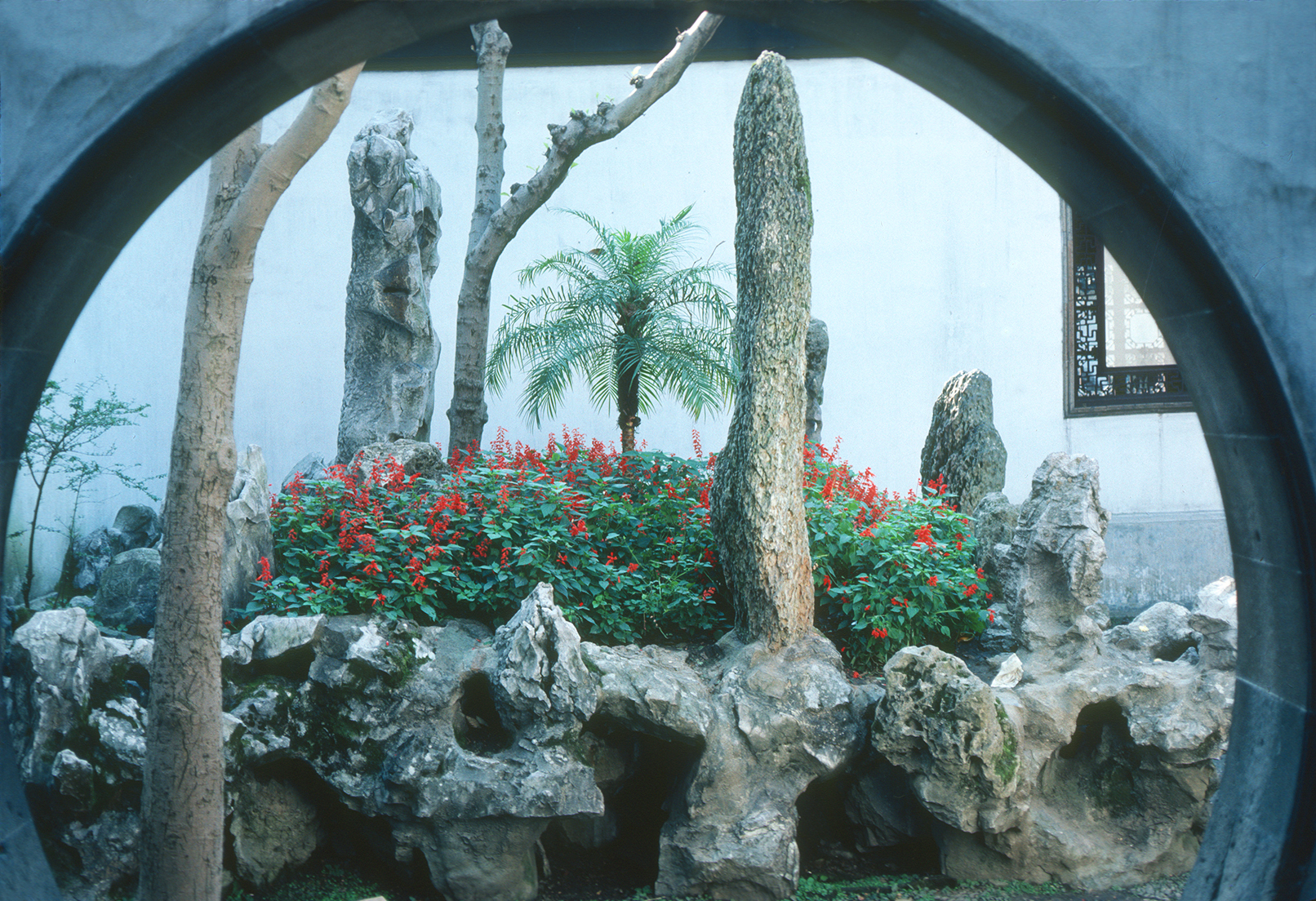 The view through a moon gate at the Suzhou Botanic Garden.