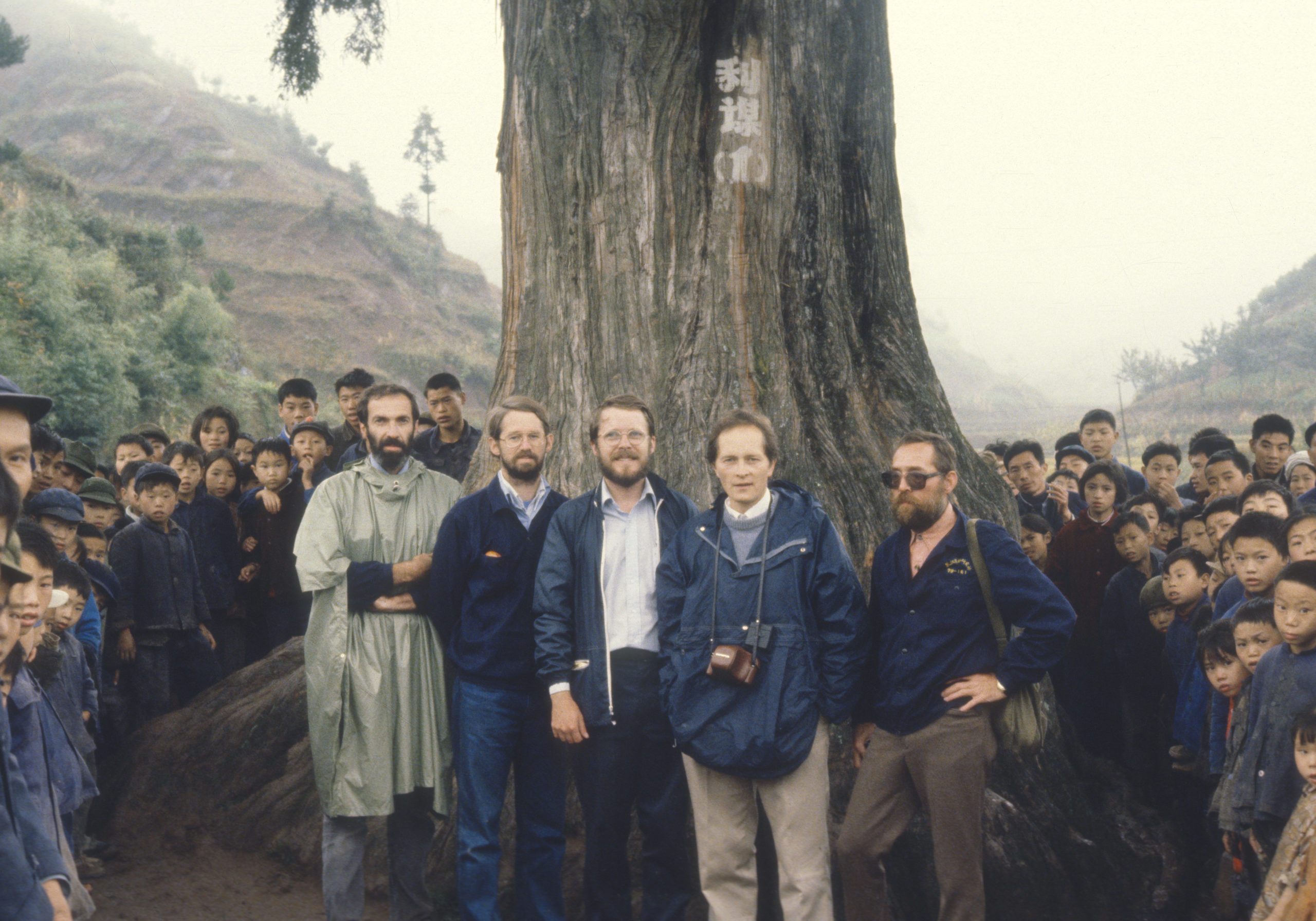 The American members of the 1980 Sino-American Botanical Expedition stand in front of the Metasequoia glyptostroboides type tree in Hubei, China. The team members left to right, David Boufford, James Luteyn, Bruce Bartholomew, Stephen Spongberg, and Theodore Dudley.