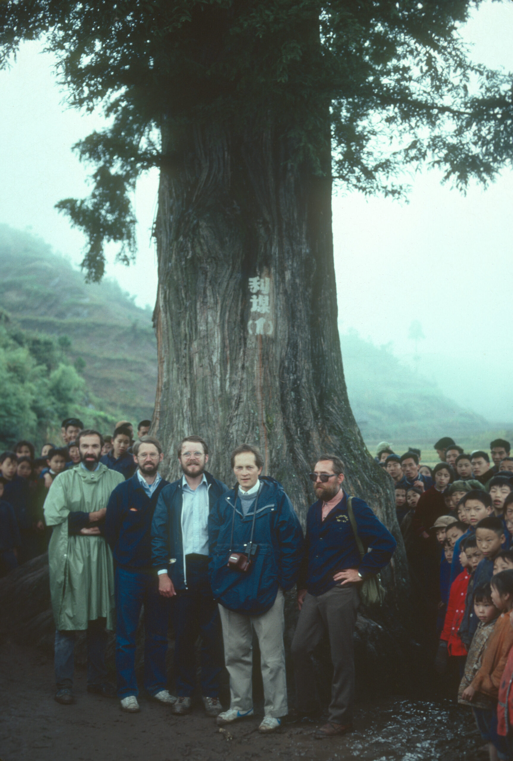 The American members of the S.A.B.E. team pose before the dawn redwood (Metasequoia) type tree. From left to right, David Boufford, James Luteyn, Bruce Bartholomew, Stephen Spongberg, and Ted Dudley.