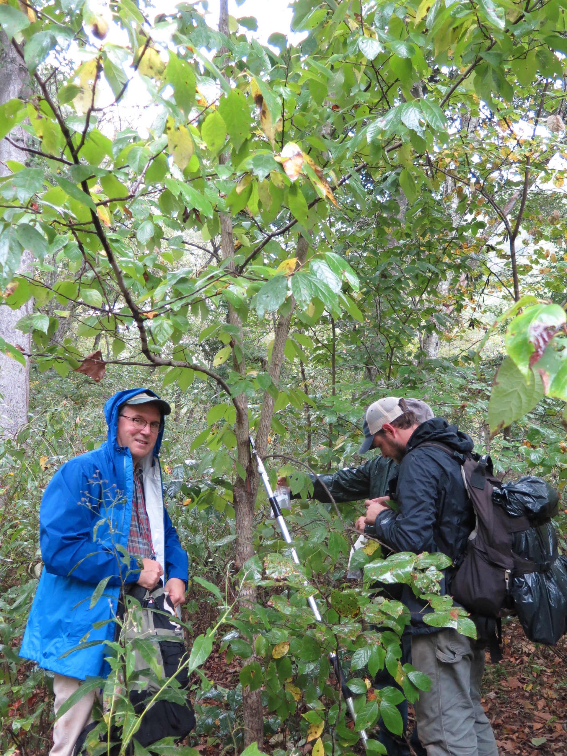Anthony Aiello (left) and Ian Jochems (right) collecting plants in 