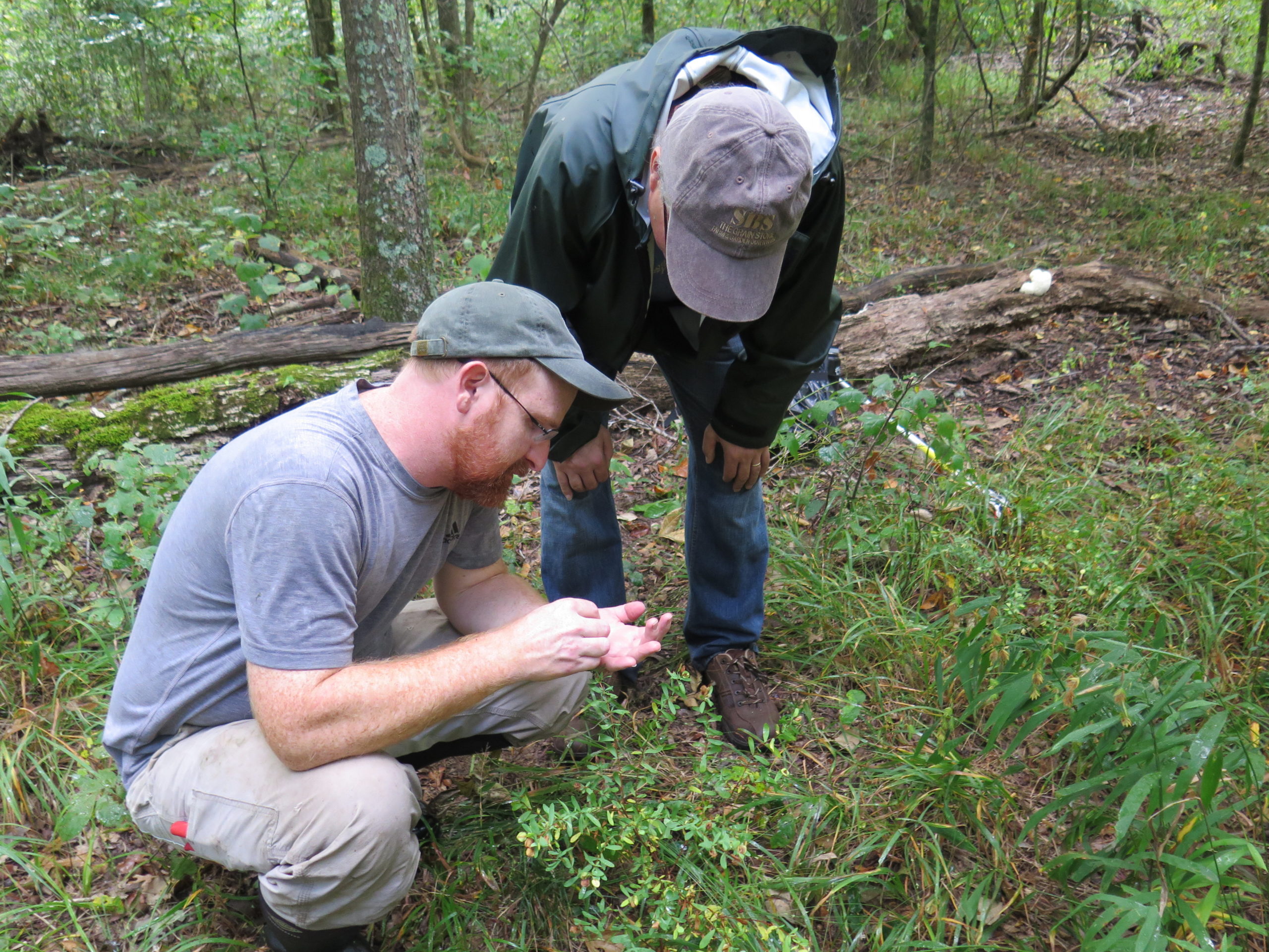 Theo Witsell (squatting) and Tim Boland (right) examine some seeds.