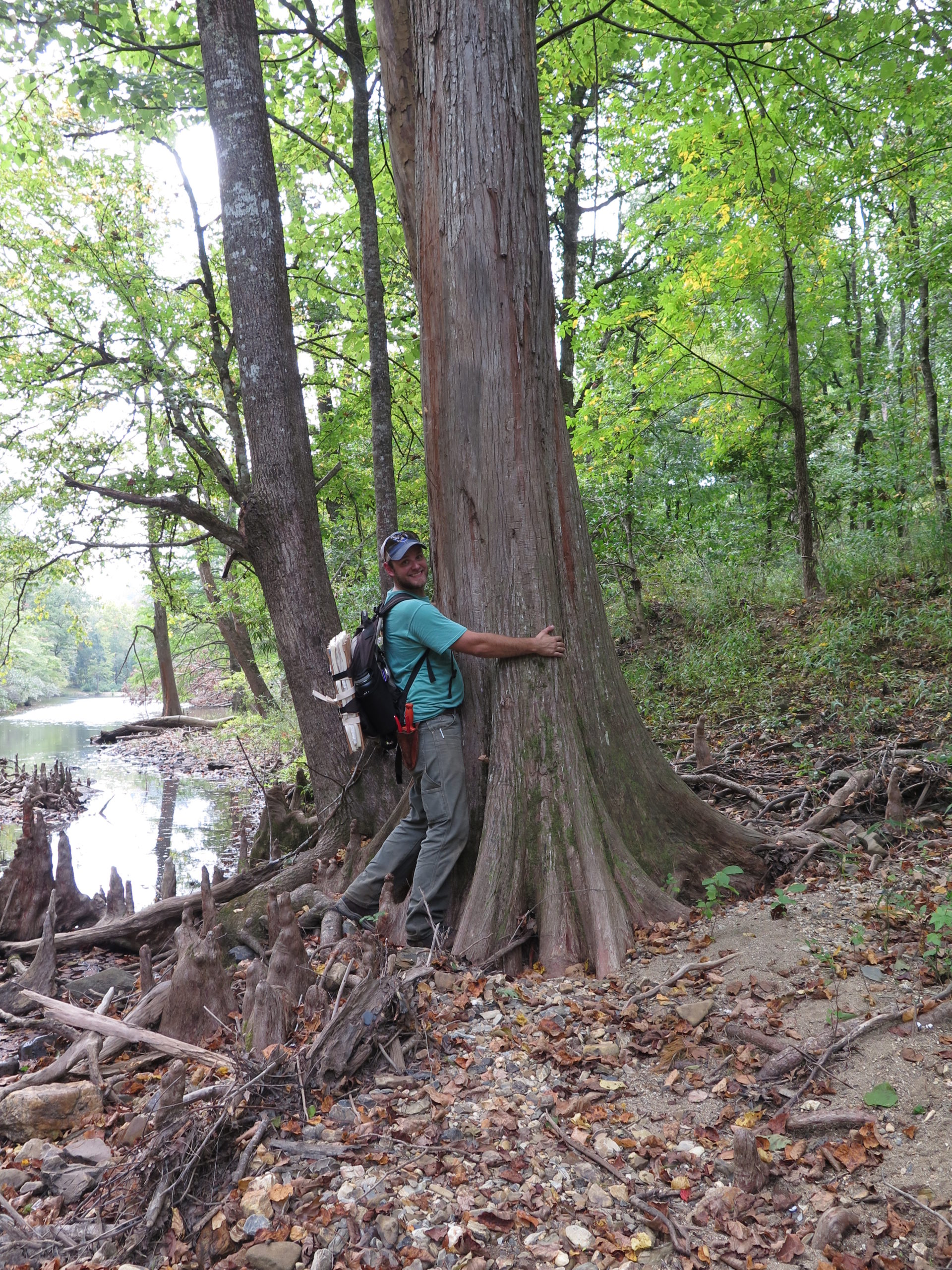 Ian Jochems hugs a baldcypress in 