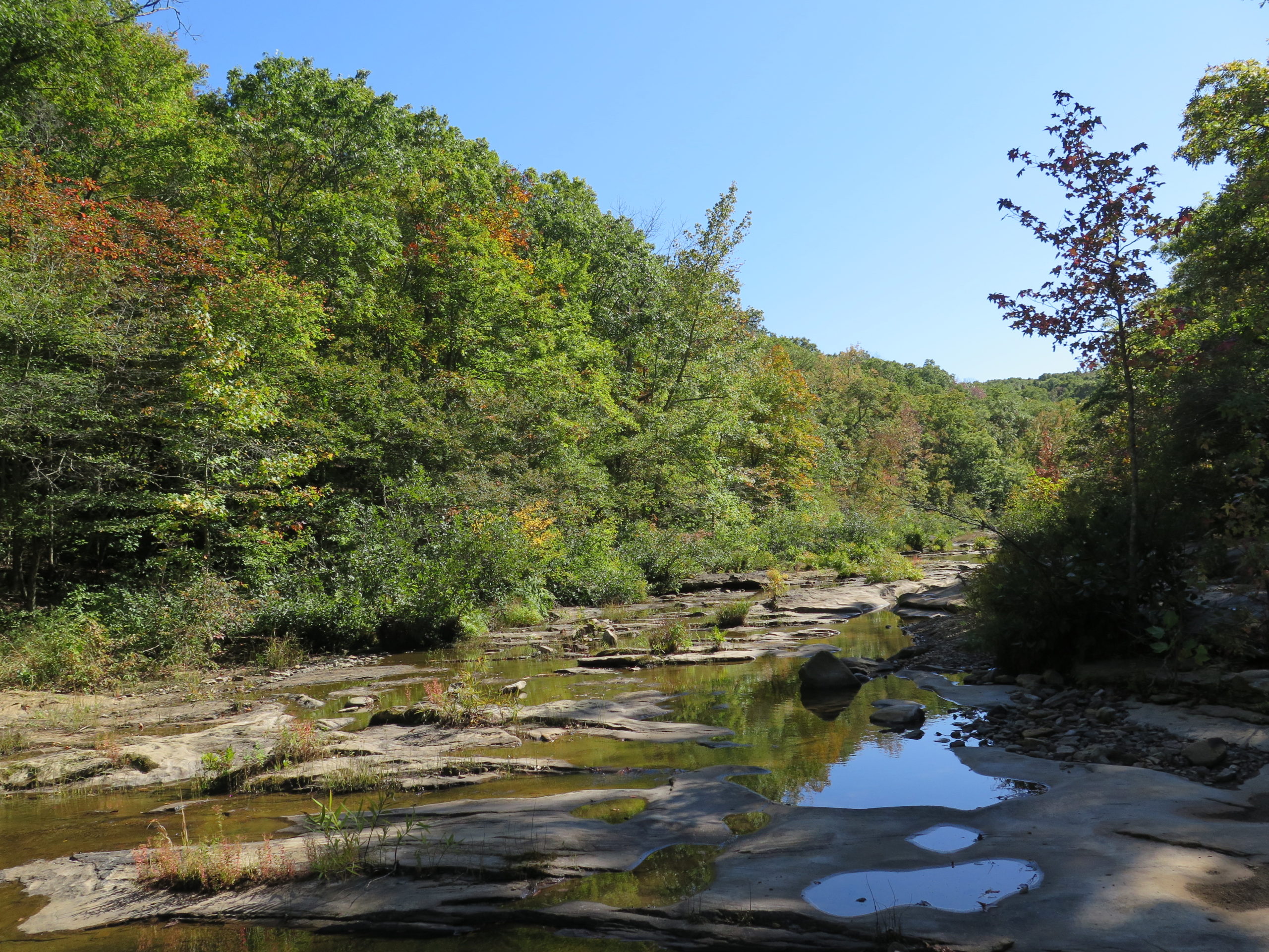 Placid waters at the King's River Falls Natural Area.