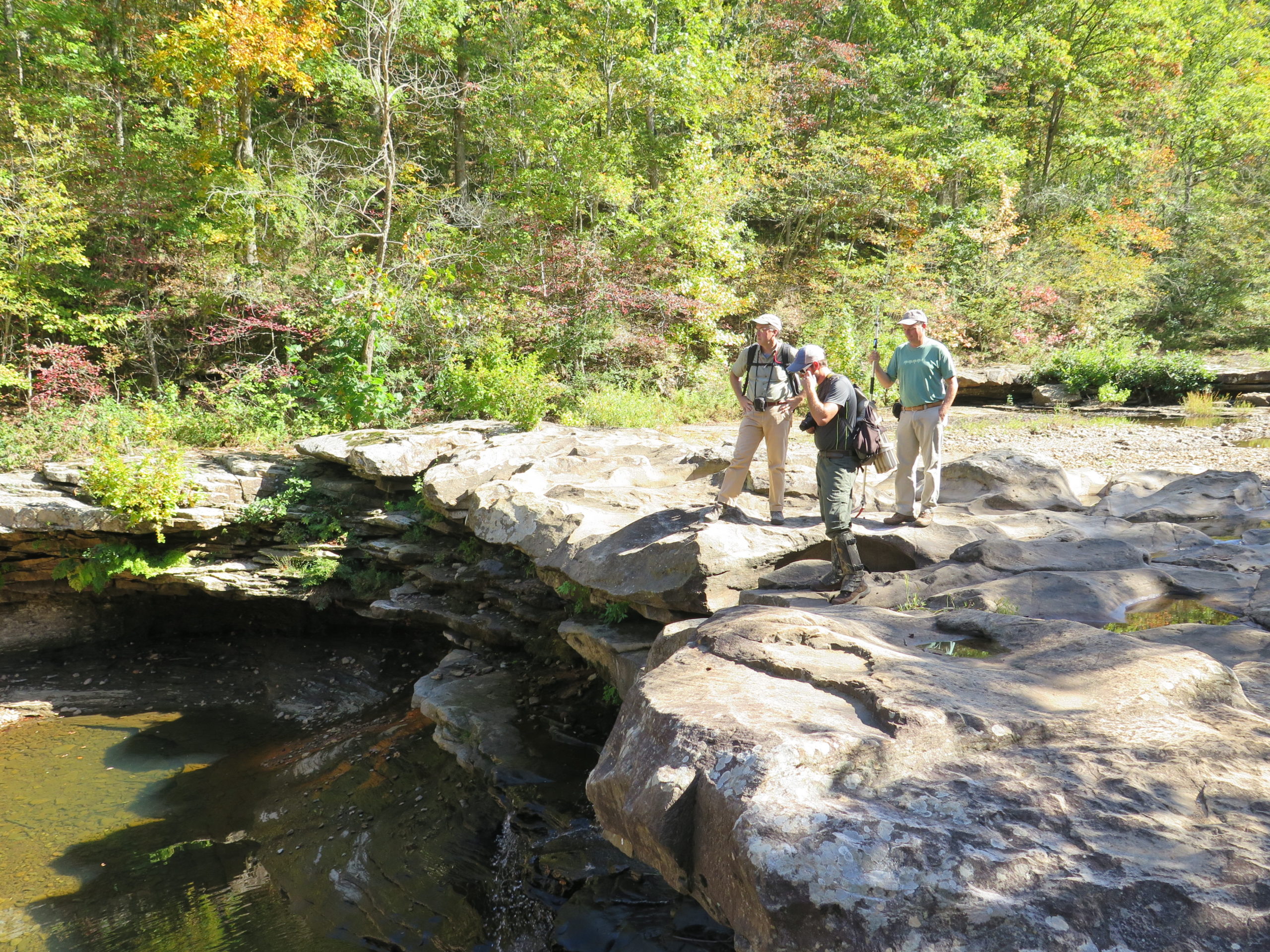 Team members examining the falls at King's River Falls. Dry weather had reduced the river to a mere trickle.