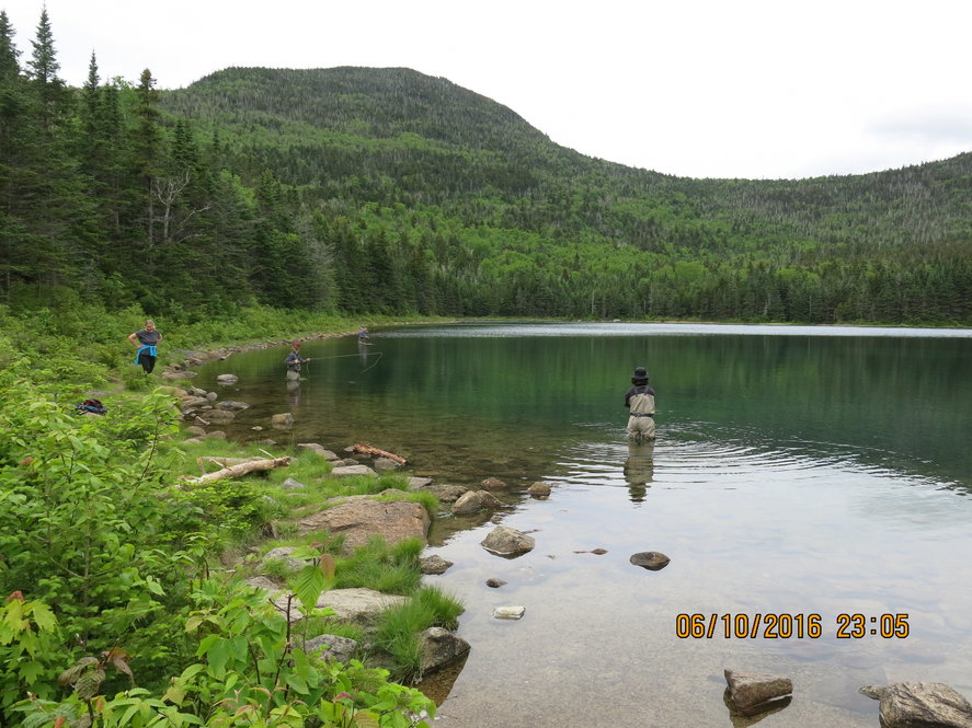 East Pond, a kettle pond at the foot of Mount Osceola, Grafton County, New Hampshire, served as our first collection location of quaking aspen (Populus tremuloides).