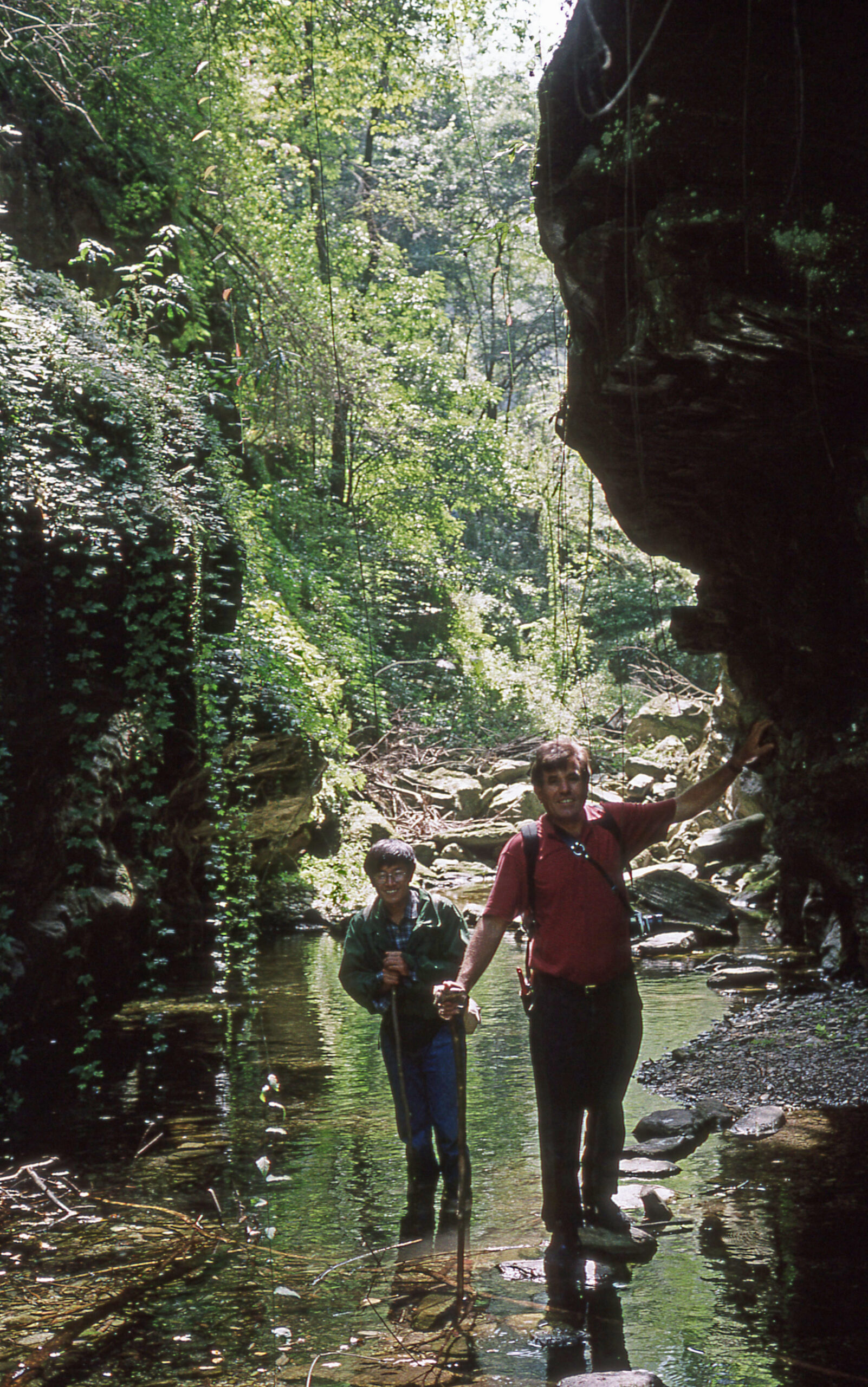 Two men stand in a stream in a vegetation filled gorge. The man on the left stands in the water and leans on a stick, the other stands on a rock, his left hand reaches out to touch the wall of the gorge.