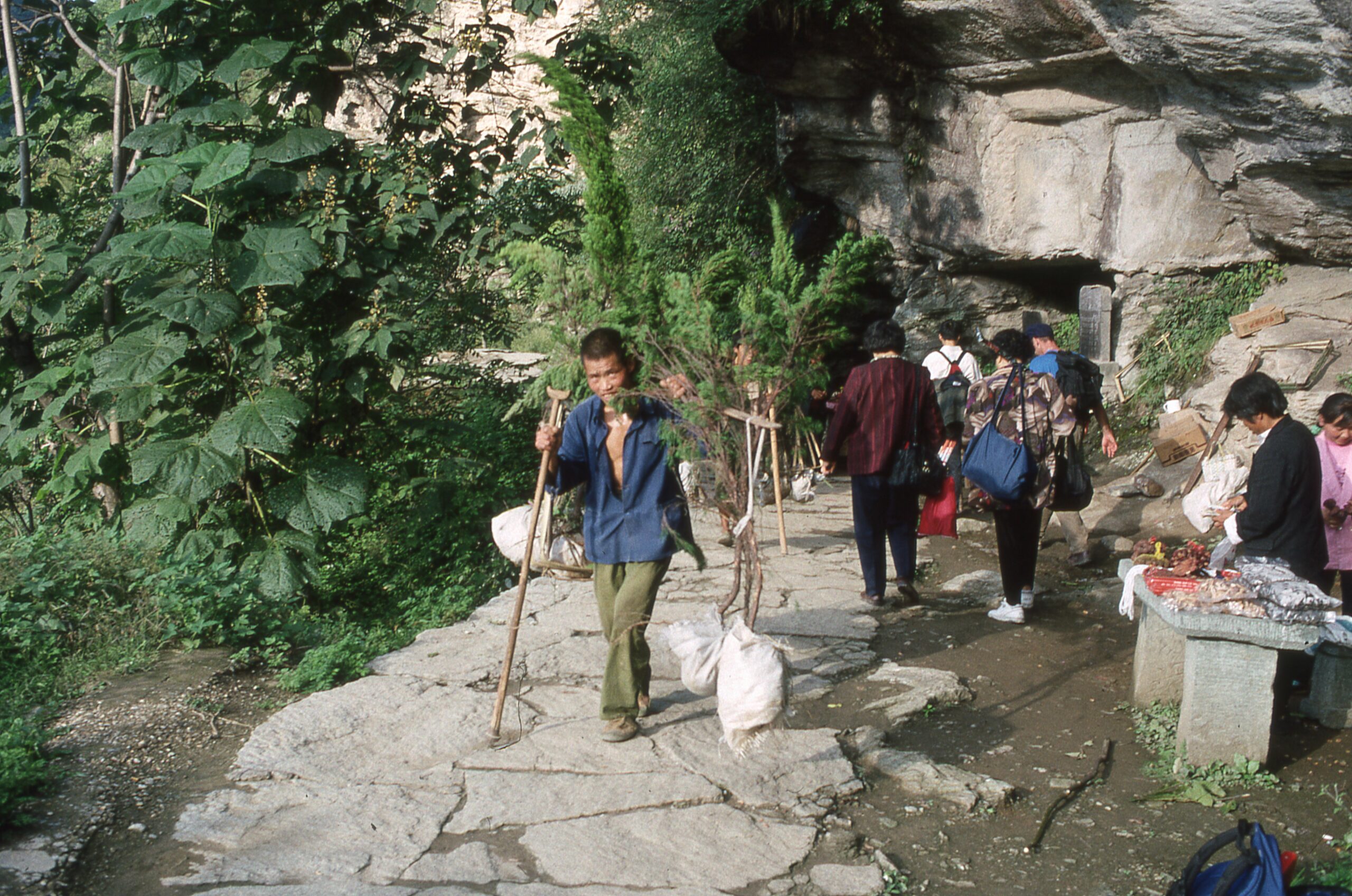 A man in a blue shirt and green pants holding a walking stick in his right hand walks with sapling trees in bundles suspended from a pole. To his left are people walking and a man standing at a stone table with items set out for sale. In the background is a rock face with a cave opening.