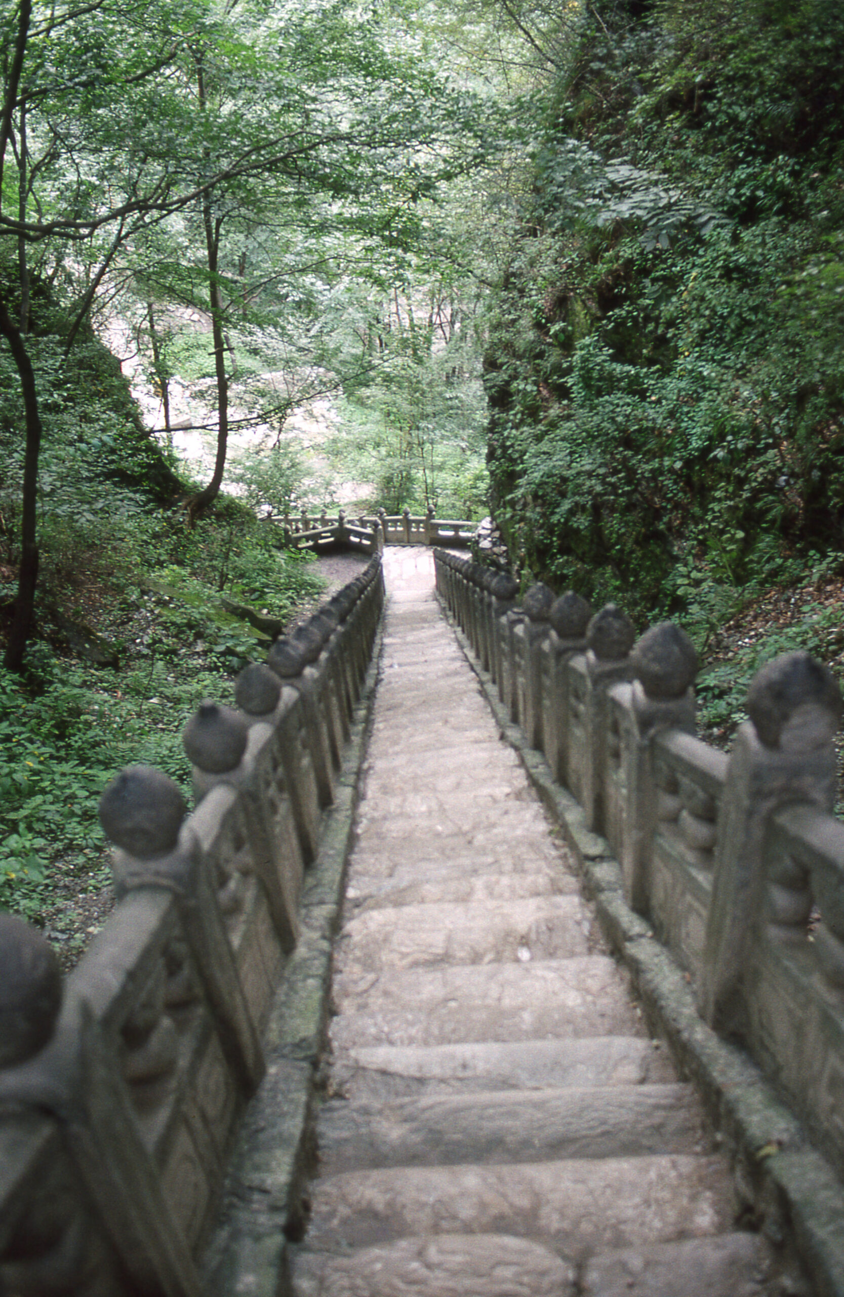 A view down a steep stone staircase in a wooded area.
