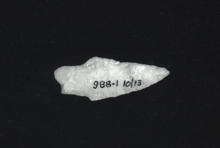 A small stemmed projectile point dating to the Late Archaic period, 6,000-4,000 years ago. It was chipped from white quartz.