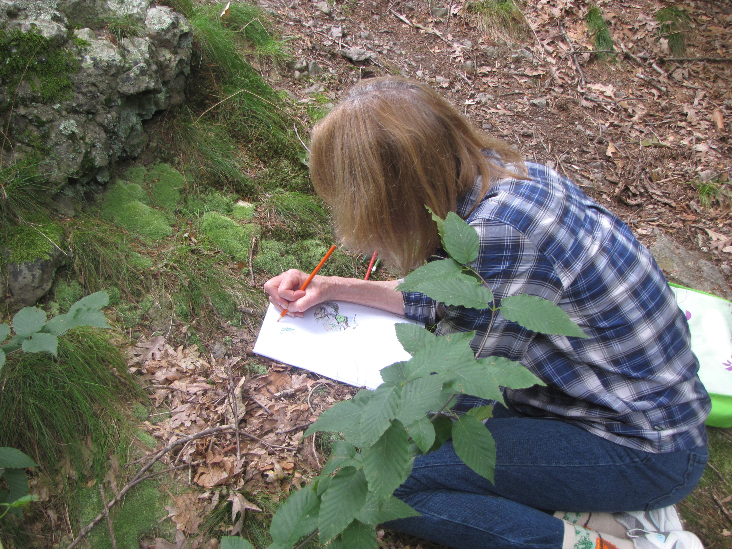 Teacher journaling in a research plot in the Central Woods.