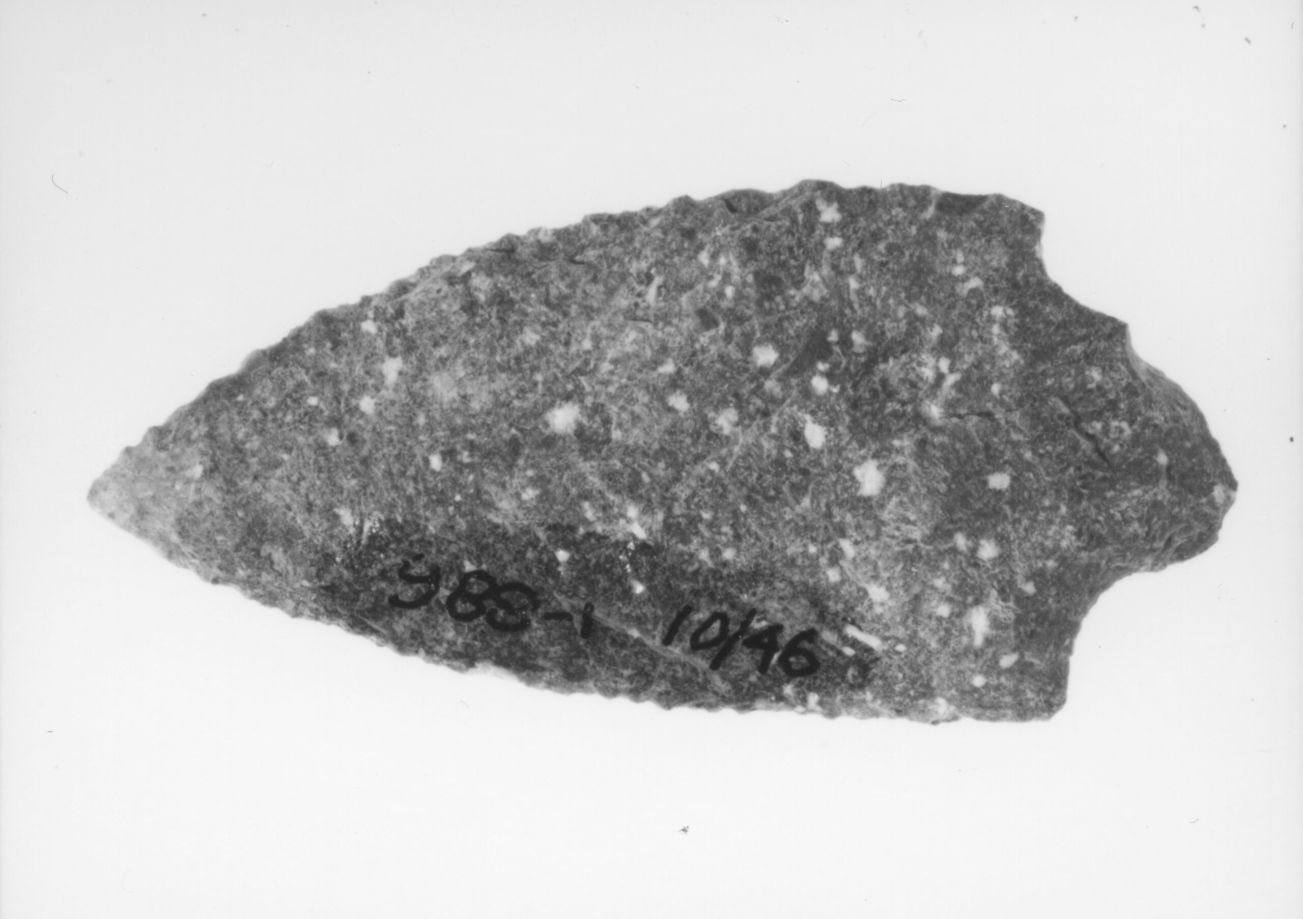 A Neville Variant projectile point made of grey Felsite, dating to 8,000-7,000 BP.