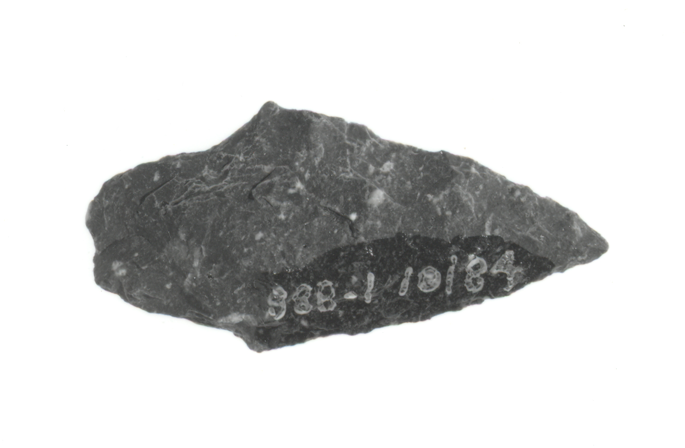 A Late Archaic projectile point chipped from felsite. Easily worked flint and chert are not found here so Indigenous toolmakers used local quartz and felsite rocks instead.