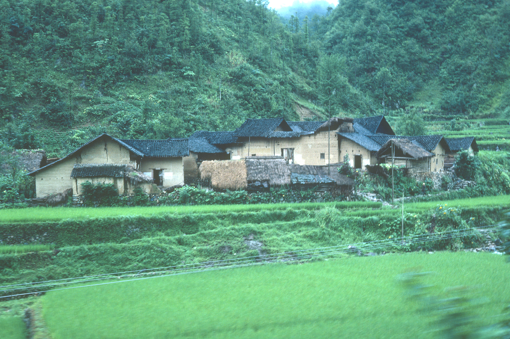 A commune farm in the road between Yichang and Xing-Shan.