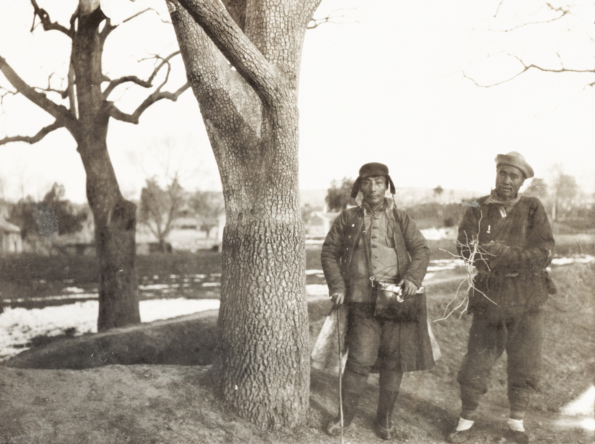 Frank Meyer's interpreter Chow-hai Ting (left) and an unknown man (right) stand beside a persimmon (Diospyros kaki) tree. Meyer comments, 