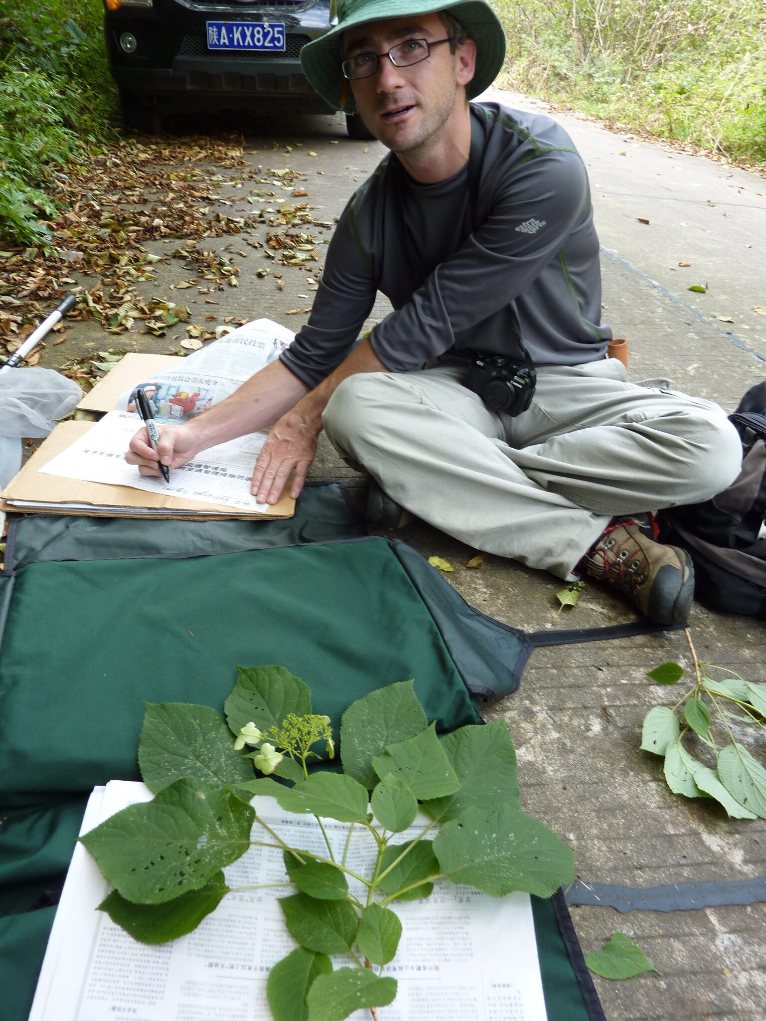 Photo of Michael Dosmann preparing herbarium specimen