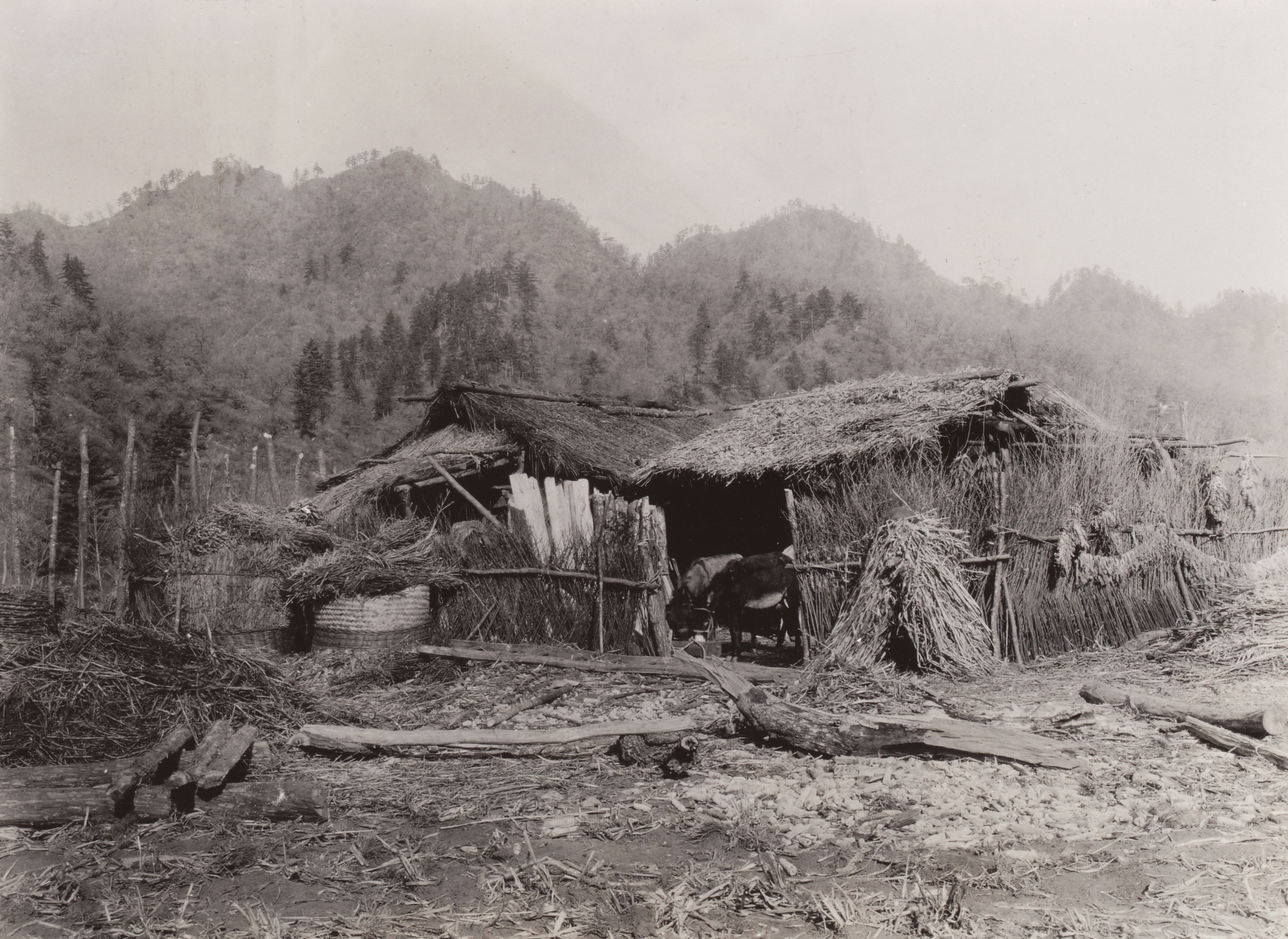 Frank Meyer photographed this straw building in Xinglong, Hebei in 1916. 