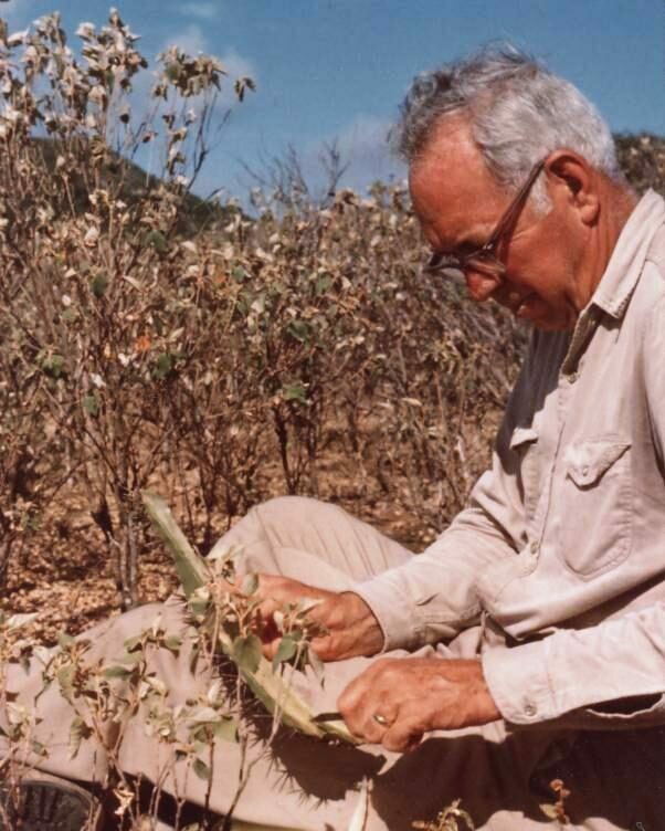 Richard Howard , ca. 1970