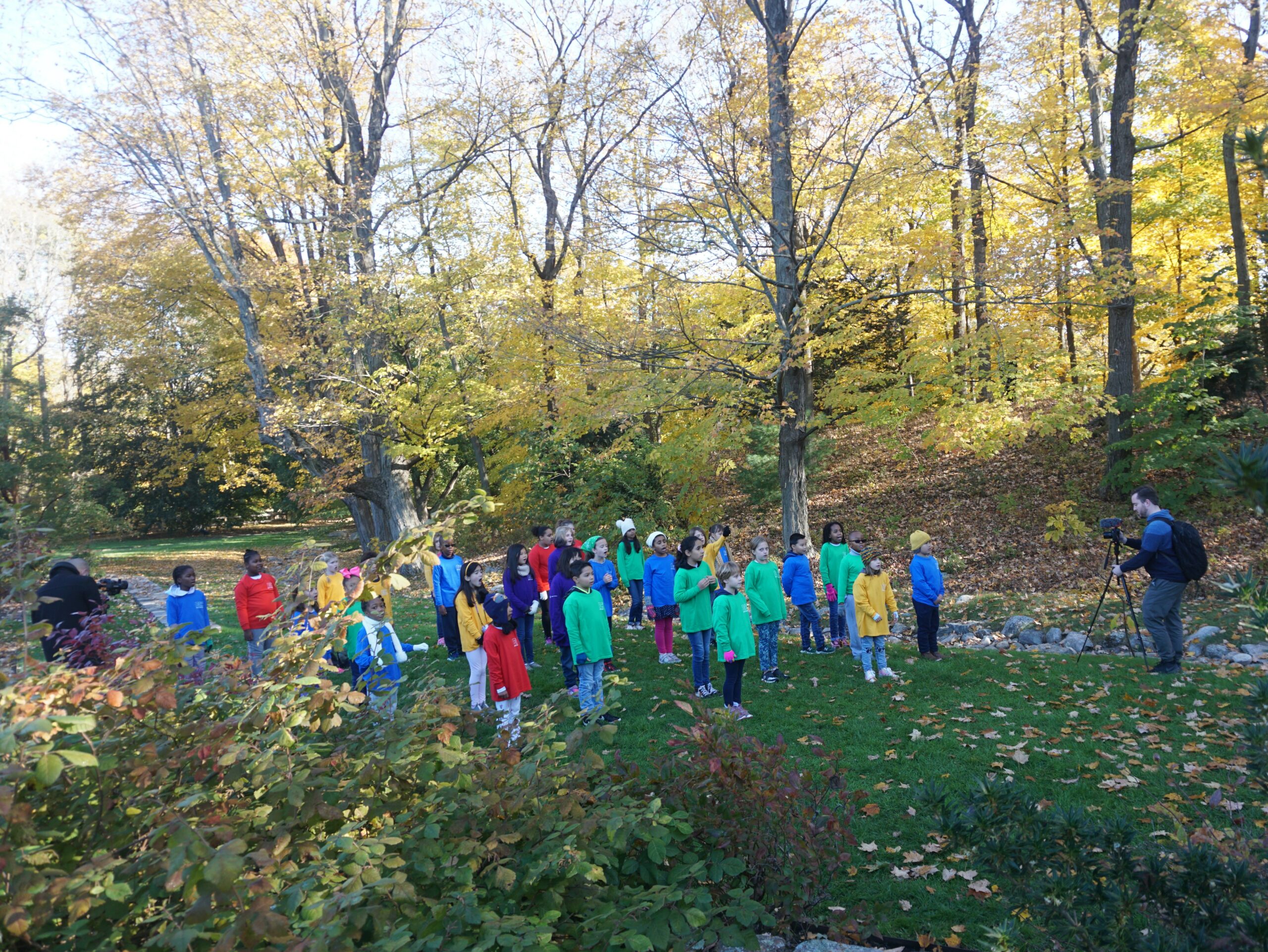 children in front of trees
