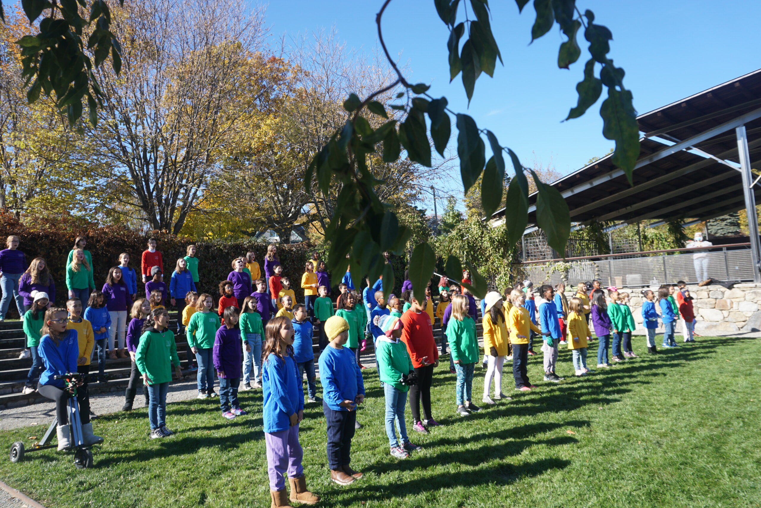 Many children standing in rows on lawn and stairs