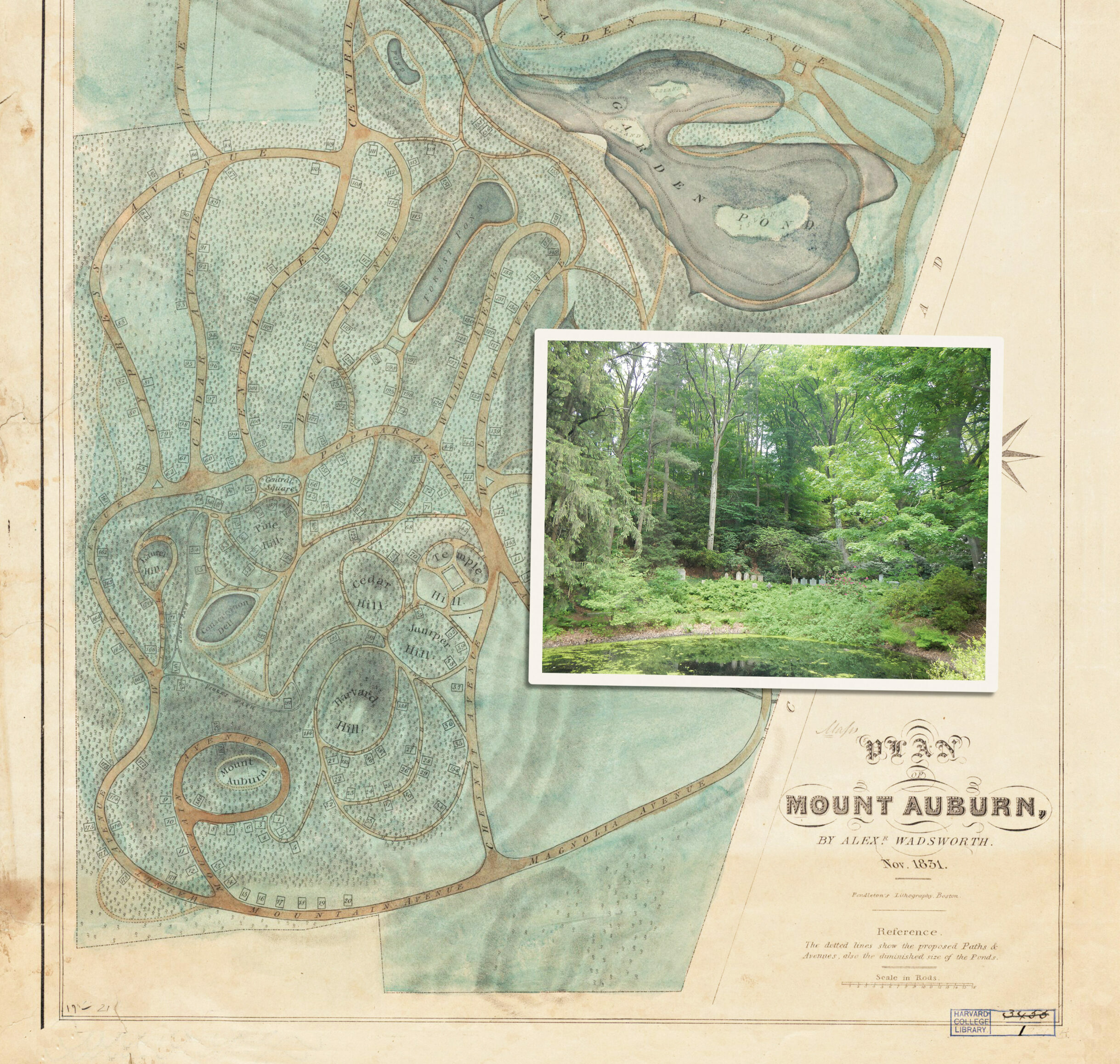 Mount Auburn Cemetery map with landscape photo overlaid.