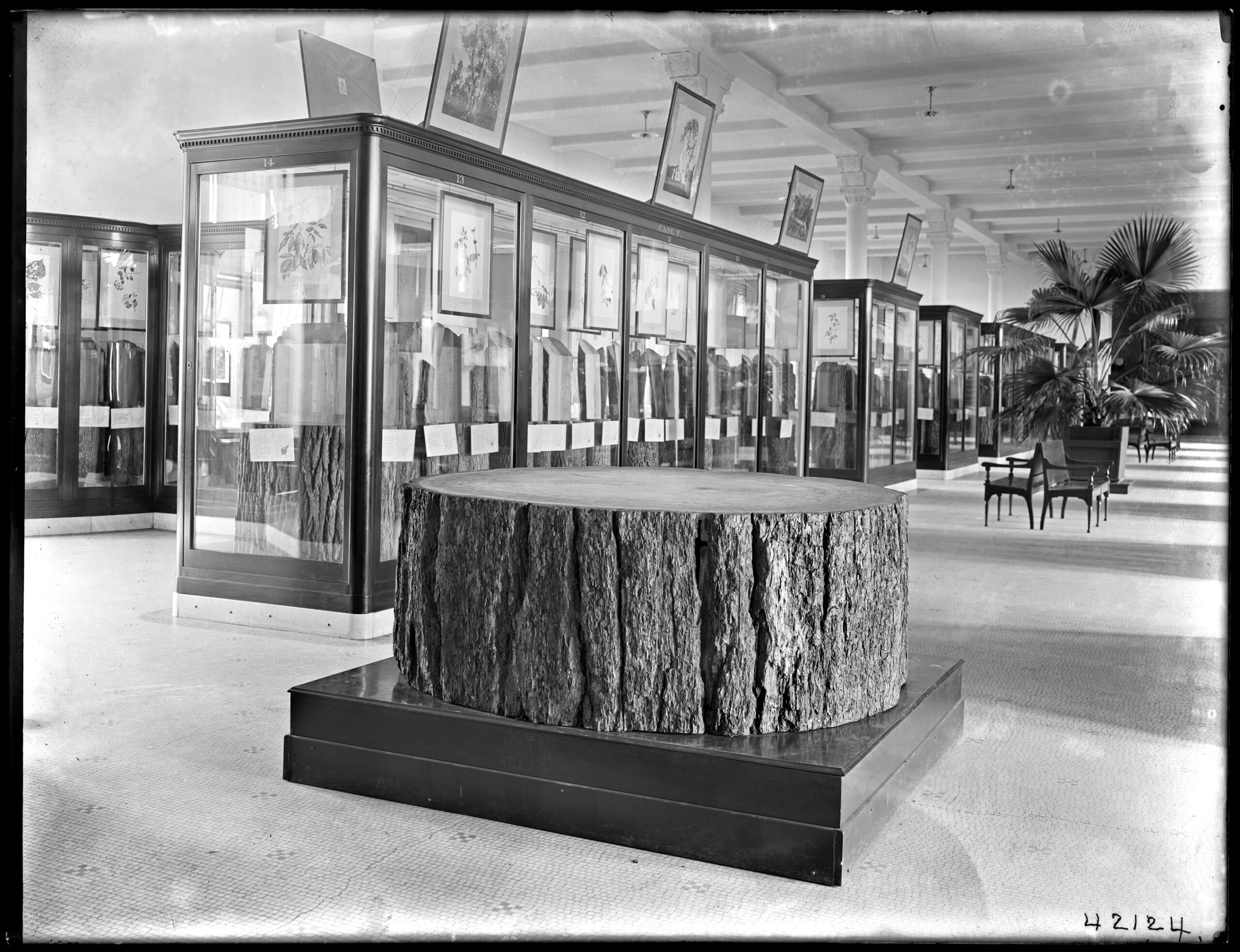 Black-and-white photograph showing display cases in exhibit hall
