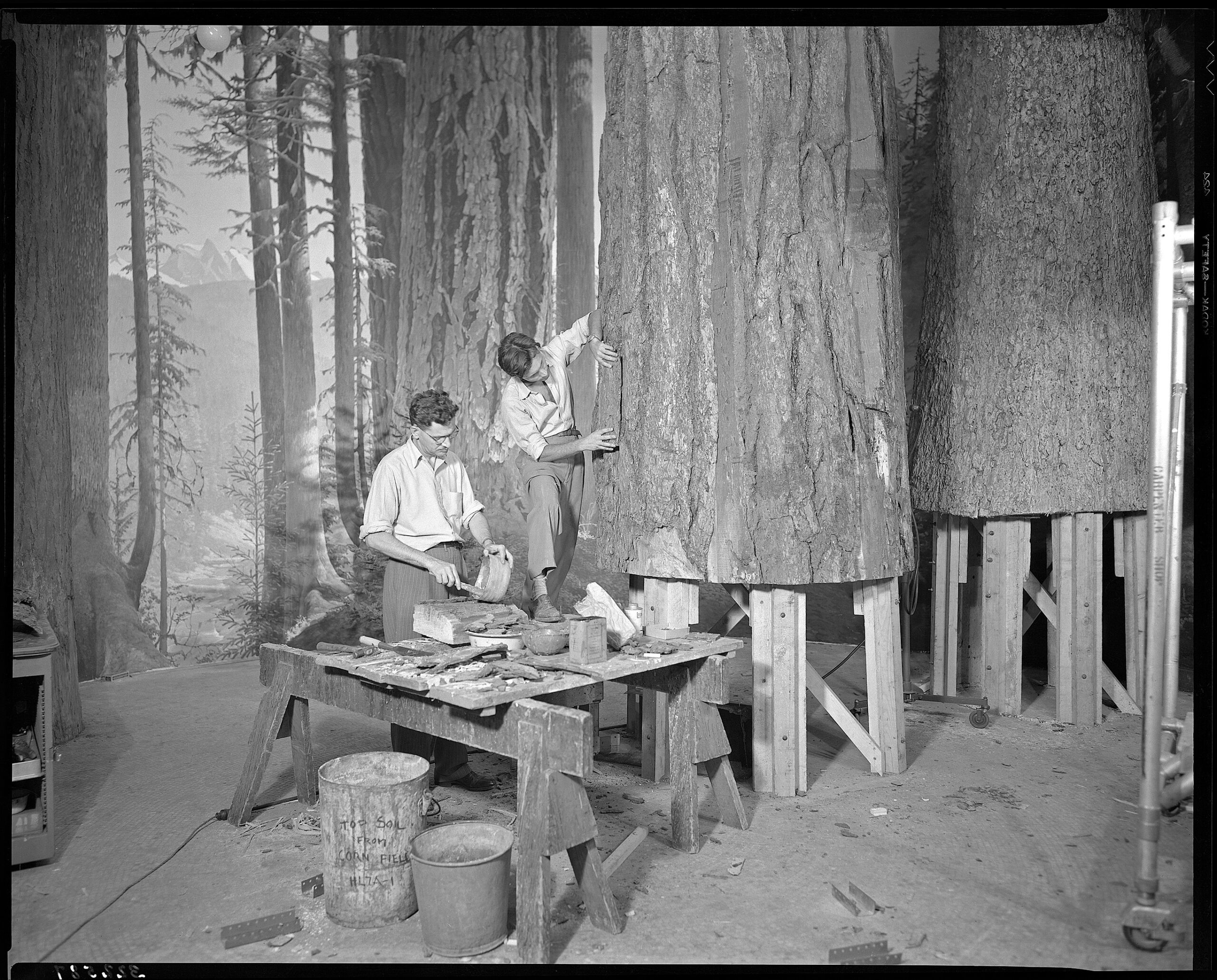Black-and-white photograph of artists creating life-size tree trunks in a museum diorama