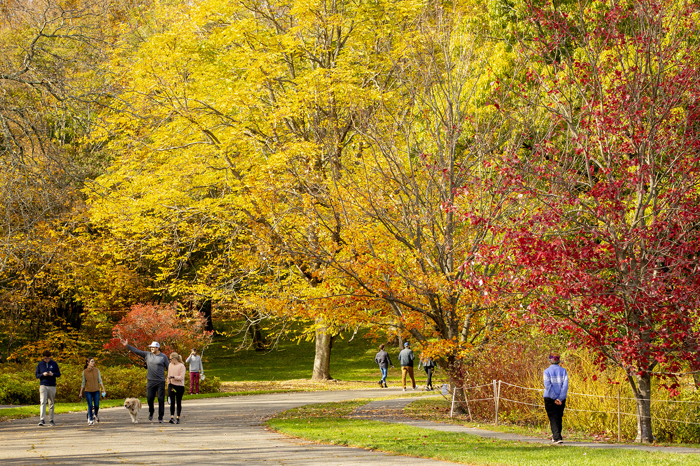 Visitors to Meadow Road in Autumn