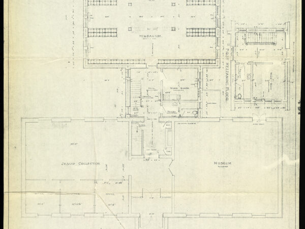 Plan of the 1909 addition to the Hunnewell Building.
