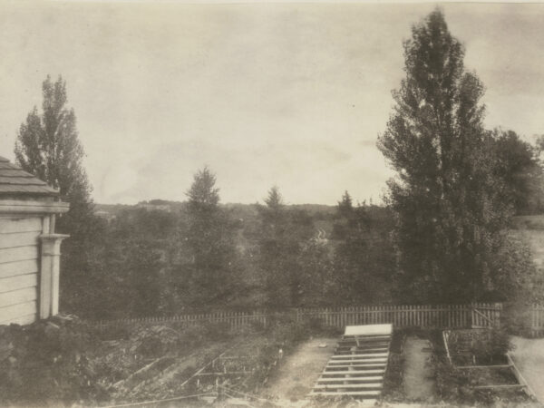 A view from an upper window of the nursery area at 1090 Centre Street, ca. 1895.