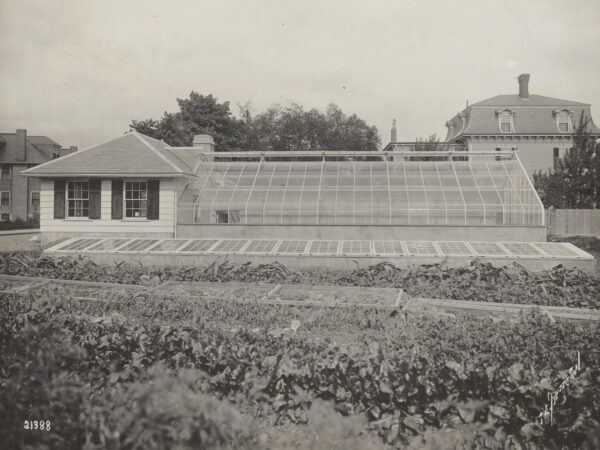 The Arnold Arboretum greenhouse facility on Orchard Street.