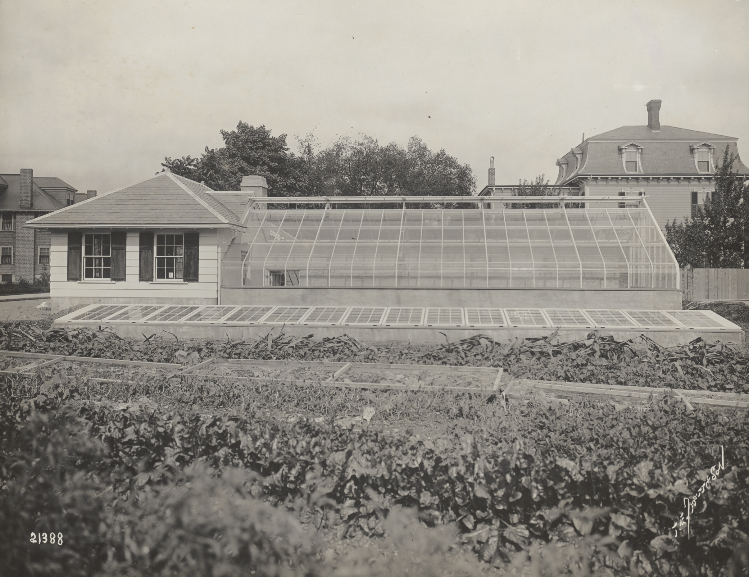 The Arnold Arboretum greenhouse facility on Orchard Street.