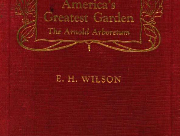 The book cover of Ernest Wilson's America's Greatest Garden.
