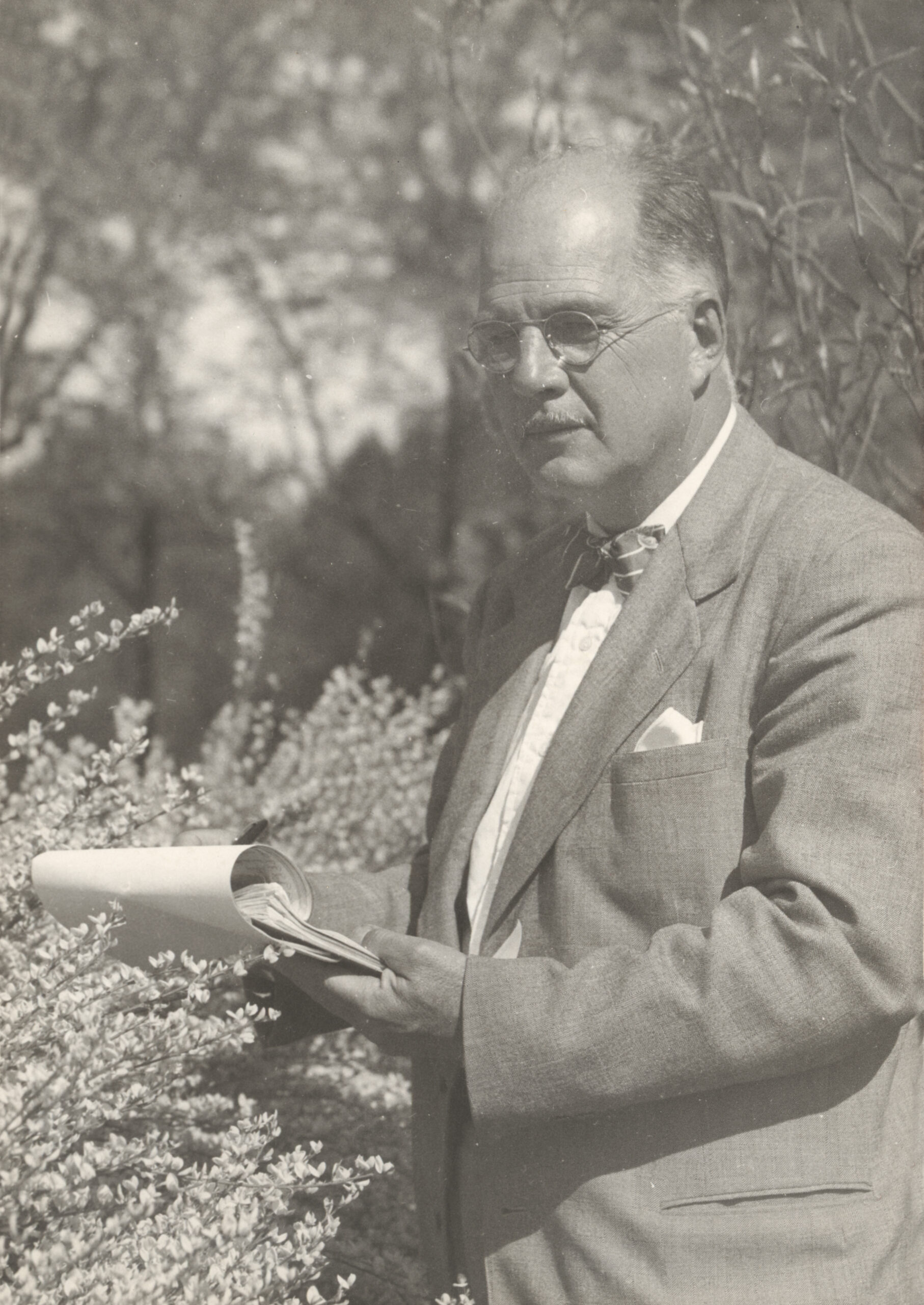 Arboretum Horticulturist Donald Wyman, 1952.