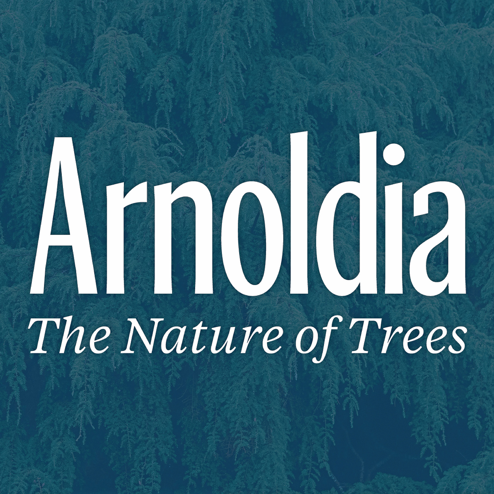 Arnoldia-logo-tagline