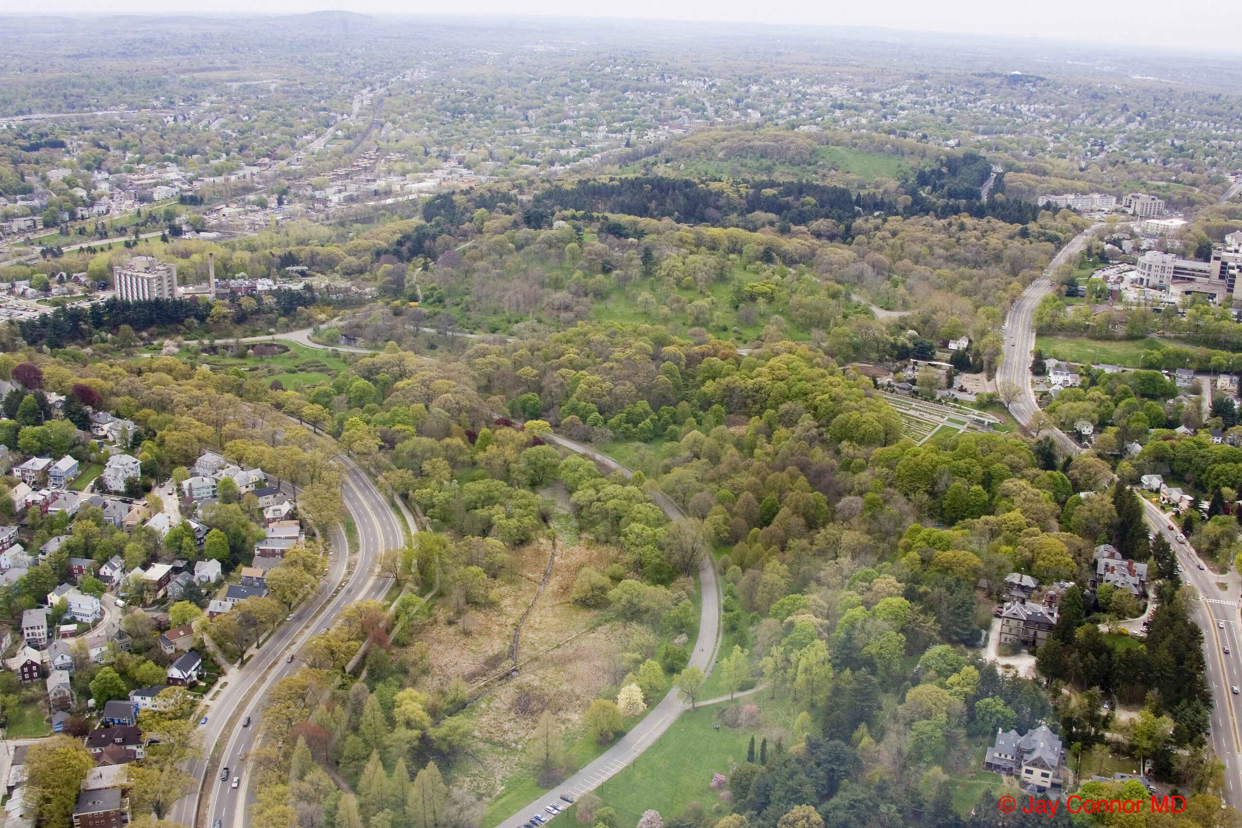 A May 2005 oblique photograph of the Arnold Arboretum.