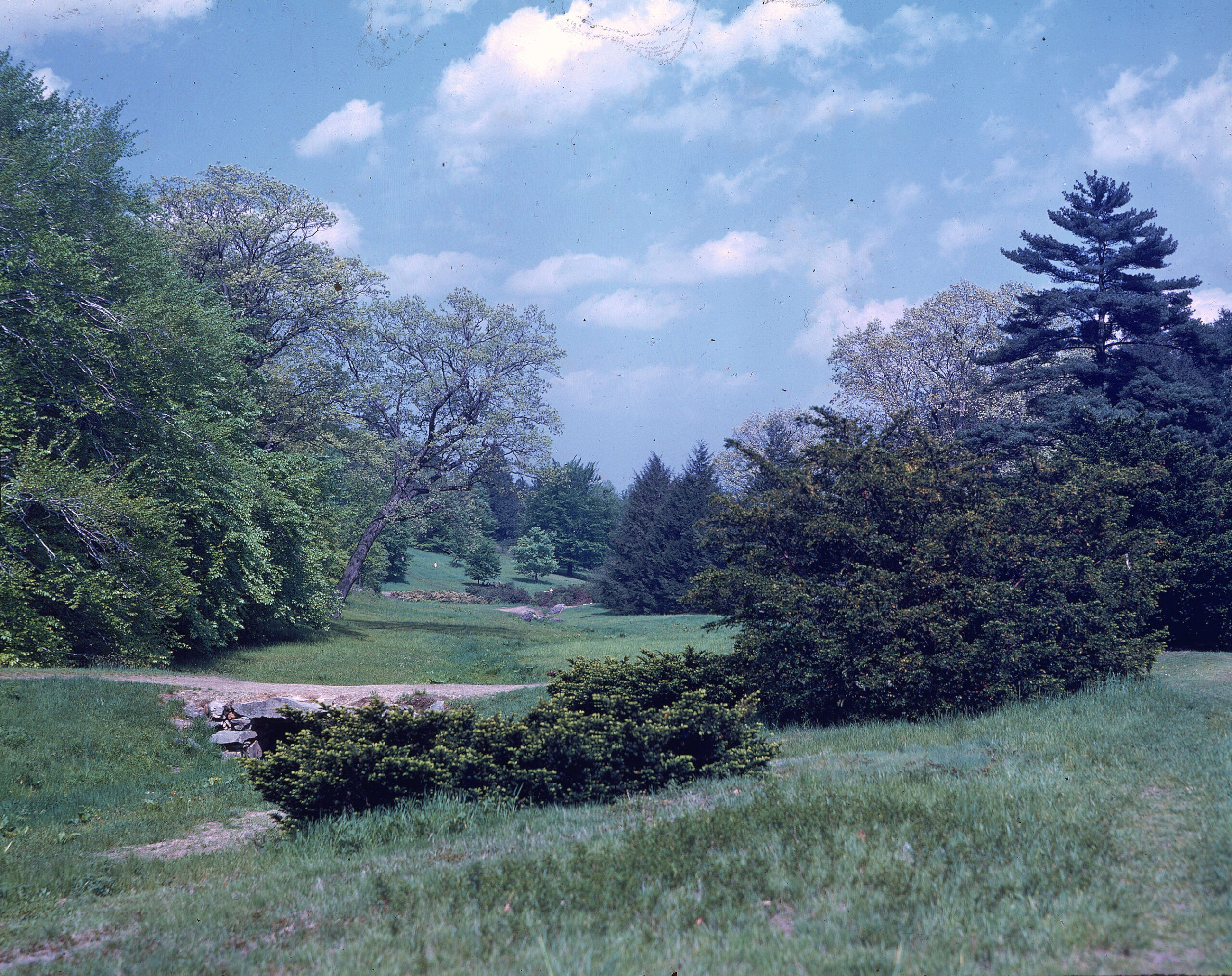 Bussey Brook valley looking east.
