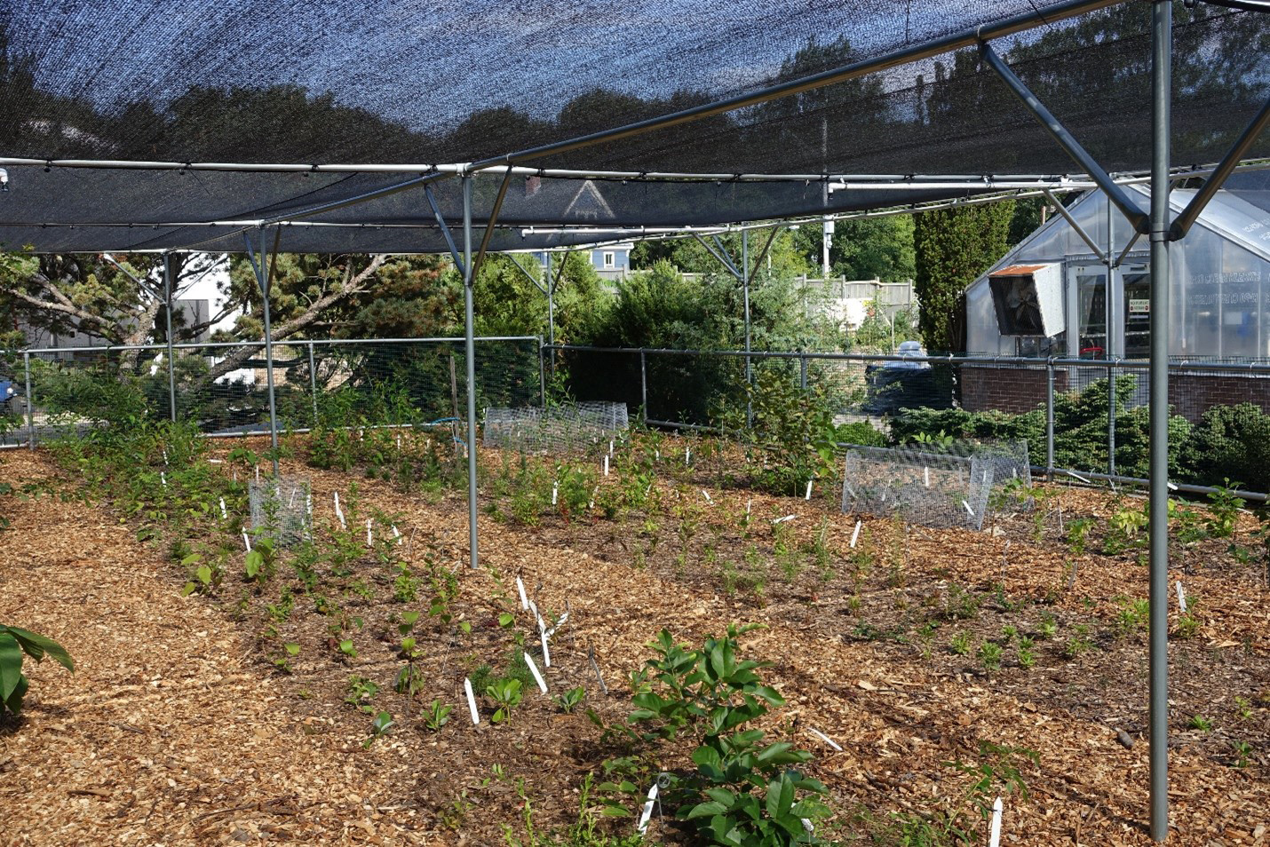 Evaluation nursery or shade house in 2021