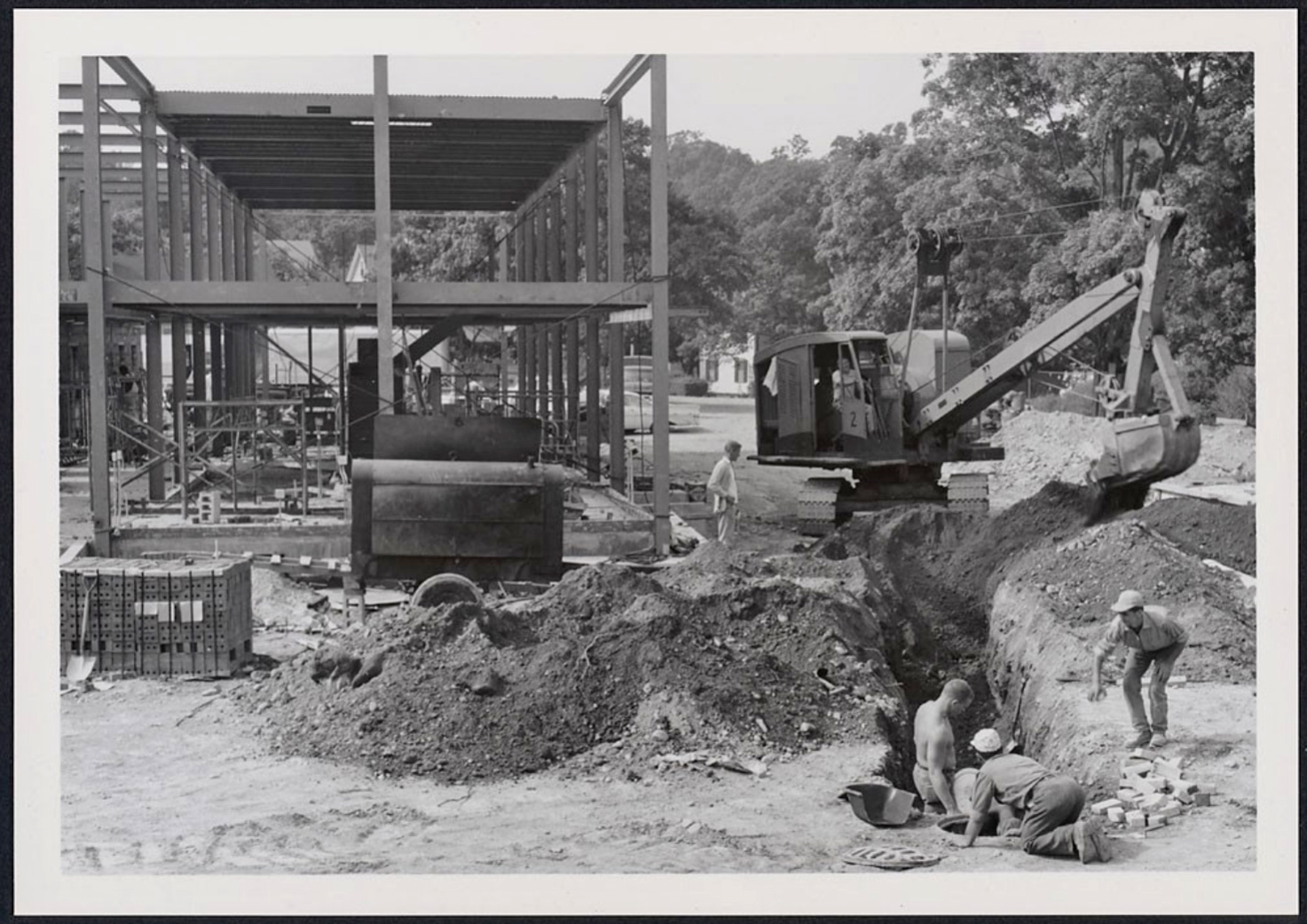Dana Greenhouses construction, summer 1961 by Heman Howard
