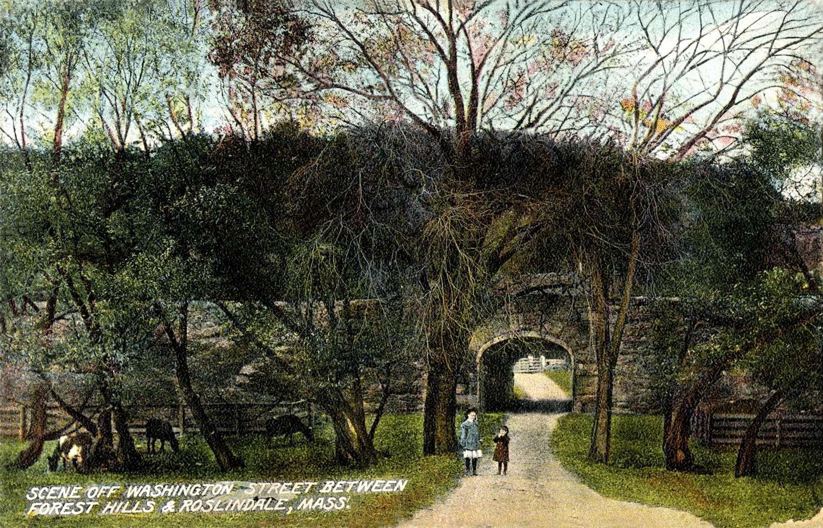 Picture postcard of the Archdale Street entrance to the Arnold Arboretum under the railroad line, ca. 1900.