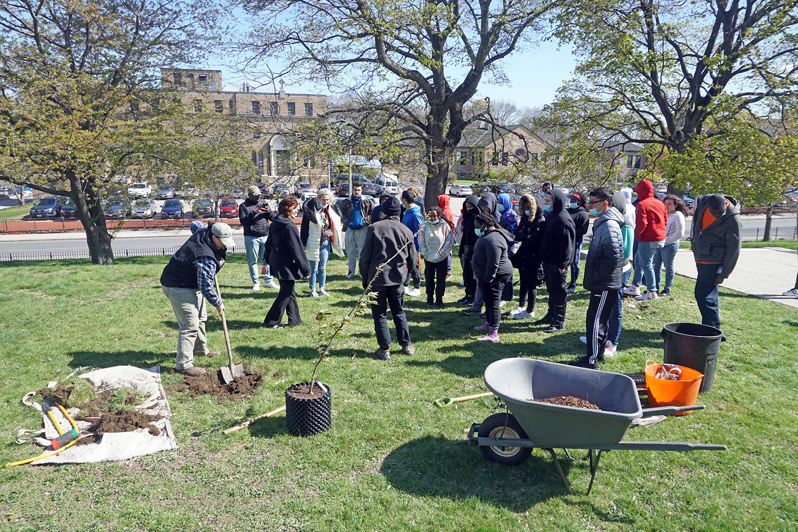 Brighton High School Tree Planting
