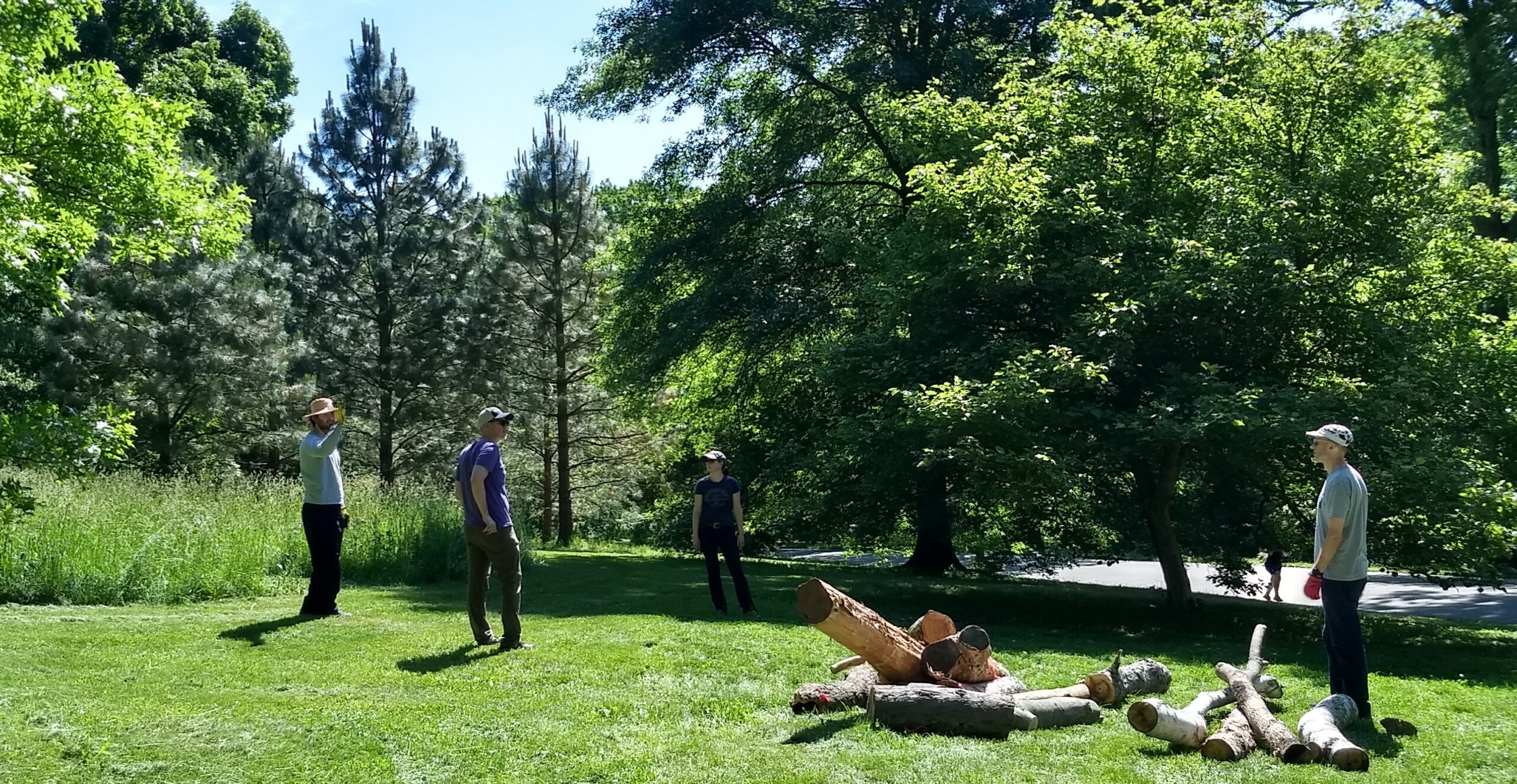 Four persons in landscape with materials from trees