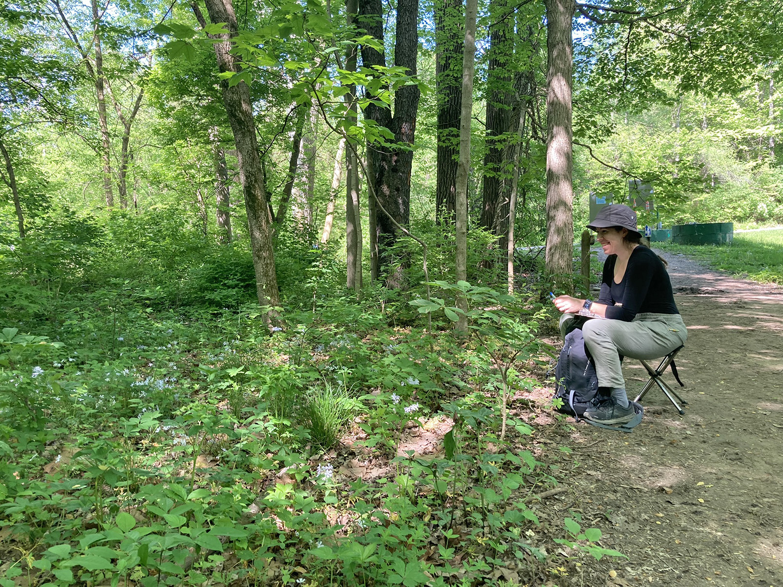 Anna Feller observes pollinators and Phlox