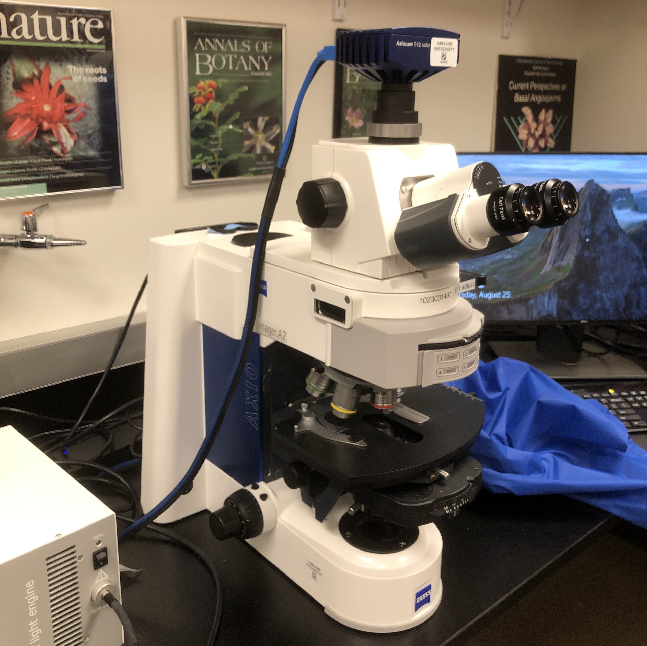 Axioimager microscope
