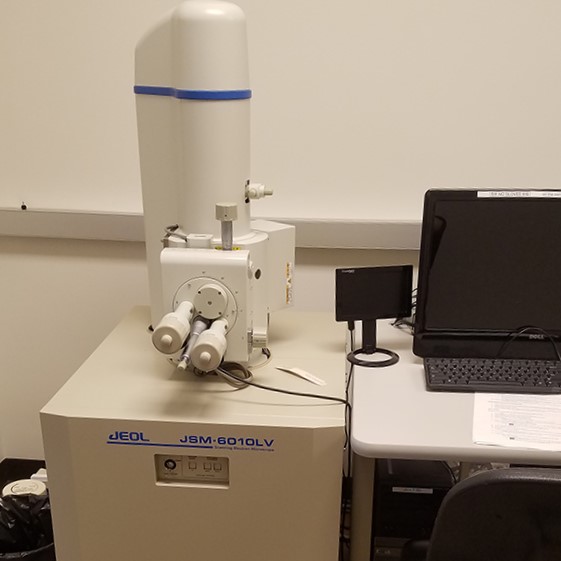scanning electron microscope