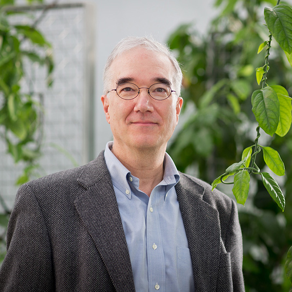 Director Ned Friedman in the Weld Hill Greenhouses