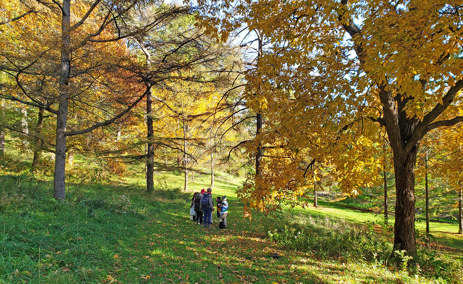 Field Study Experiences participants explored Peters Hill in a new program with Sumner School